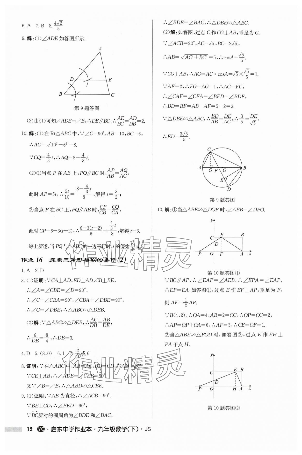 2024年启东中学作业本九年级数学下册苏科版盐城专版 参考答案第12页