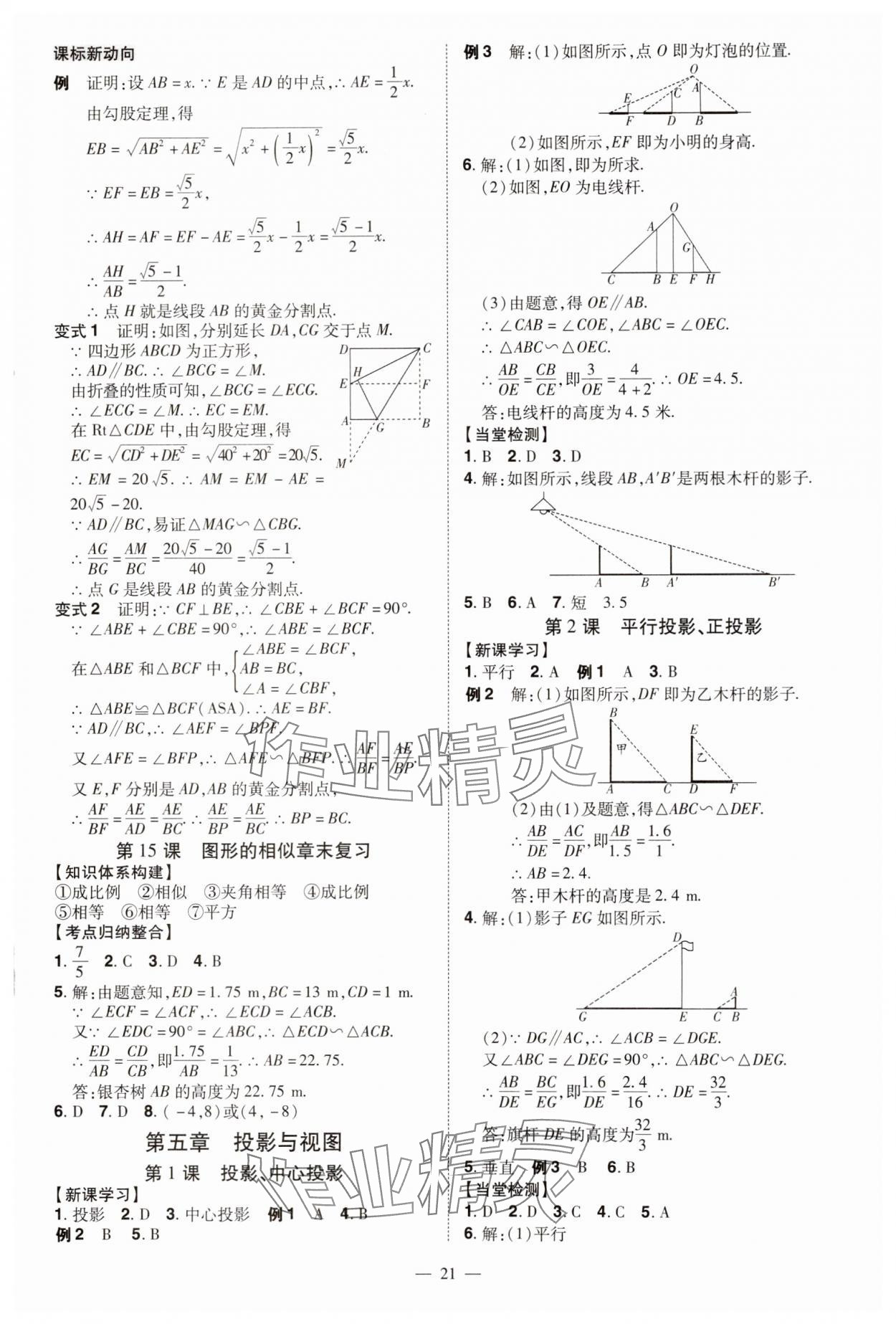 2024年同步?jīng)_刺九年級(jí)數(shù)學(xué)全一冊(cè)北師大版 第21頁(yè)