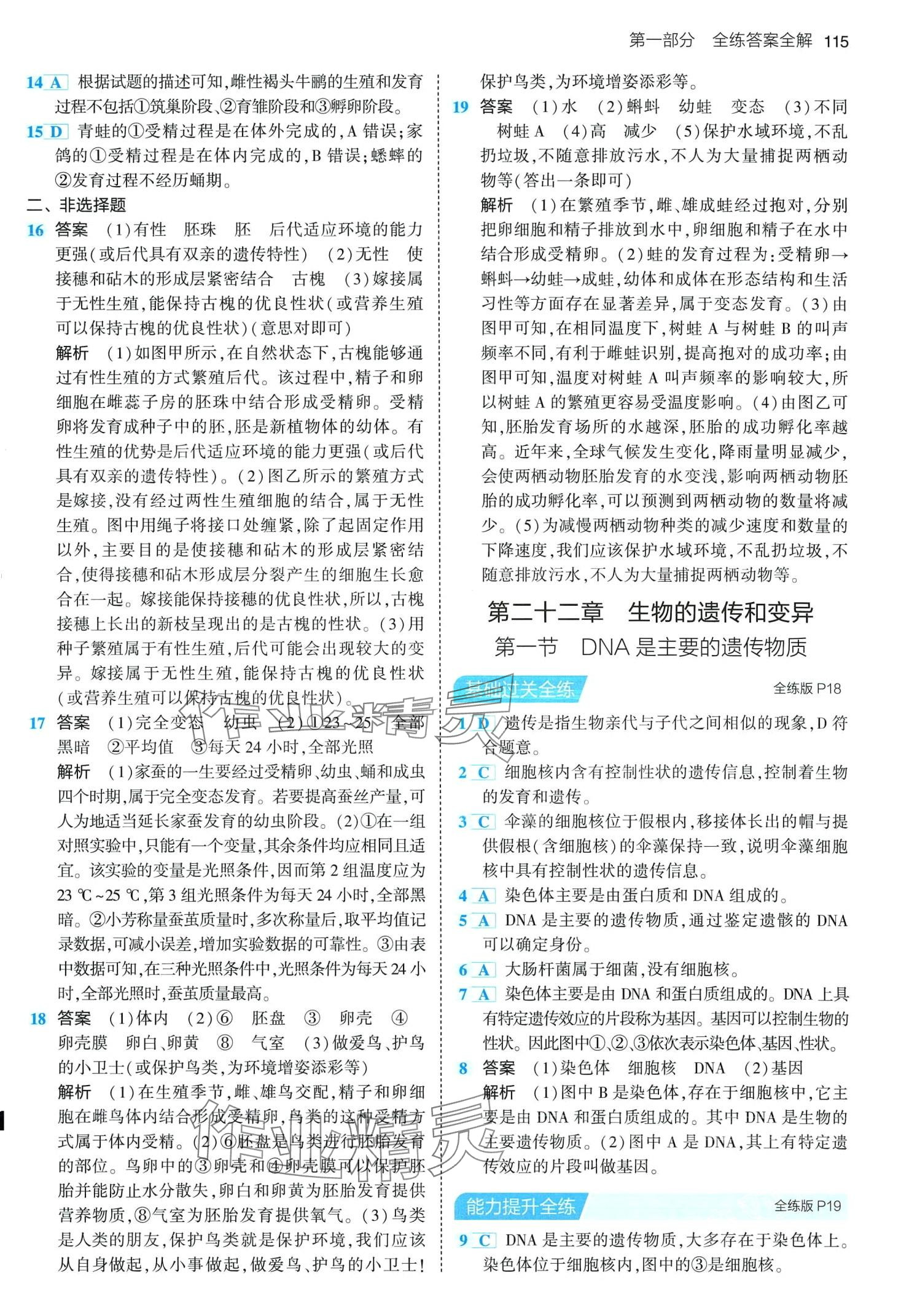 2024年5年中考3年模擬八年級(jí)生物下冊(cè)蘇教版 第5頁