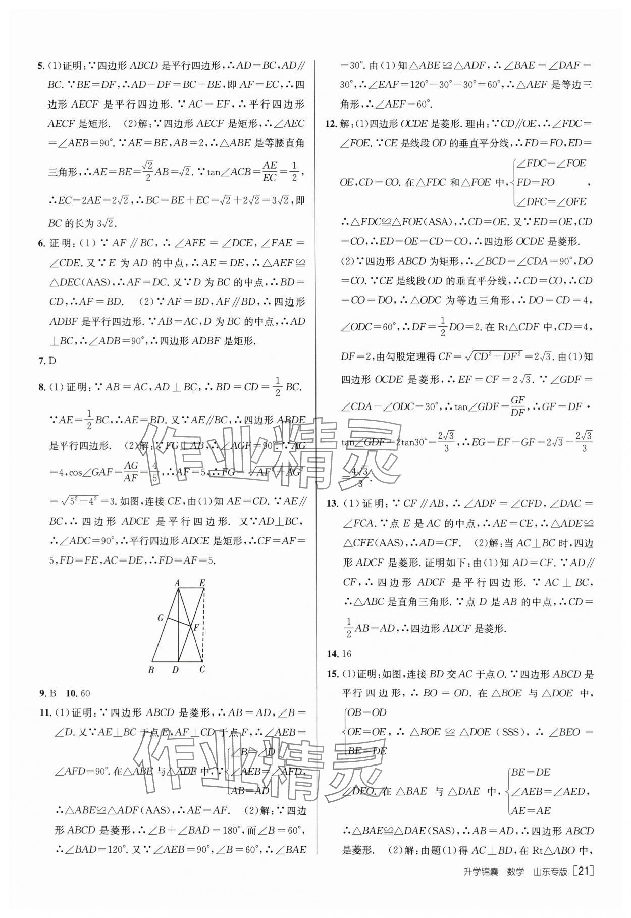 2024年升学锦囊数学山东专版 第21页