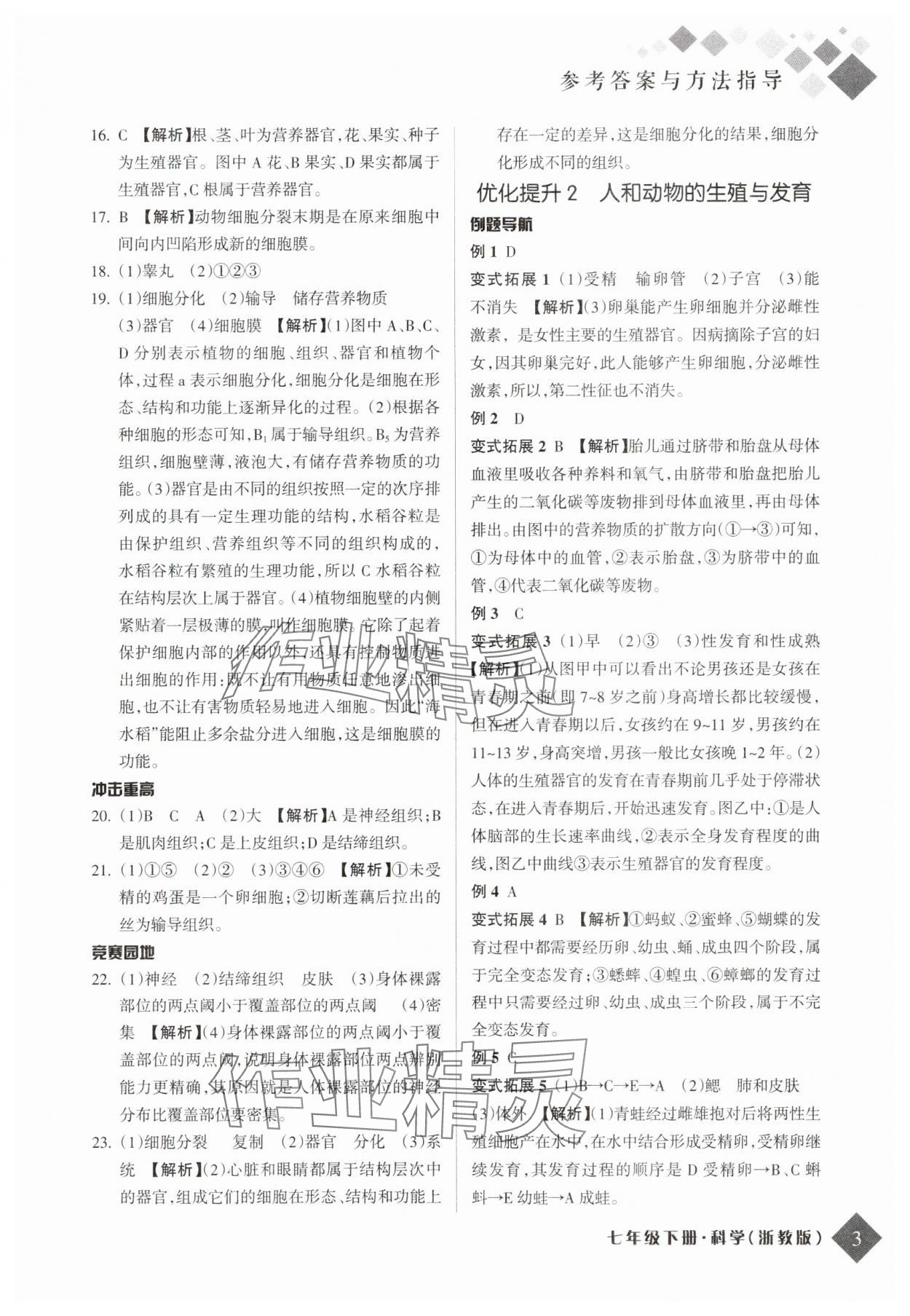 2025年勵耘新培優(yōu)七年級科學下冊浙教版 參考答案第2頁