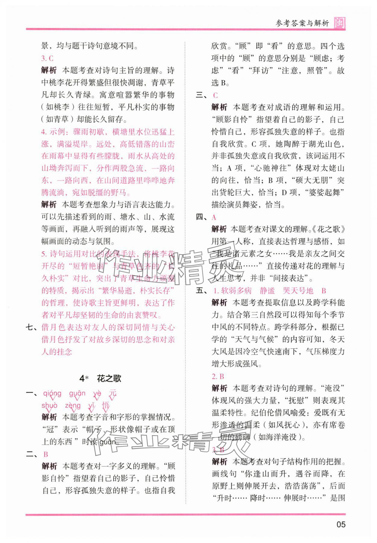 2025年木頭馬分層課課練六年級語文上冊人教版福建專版 第5頁