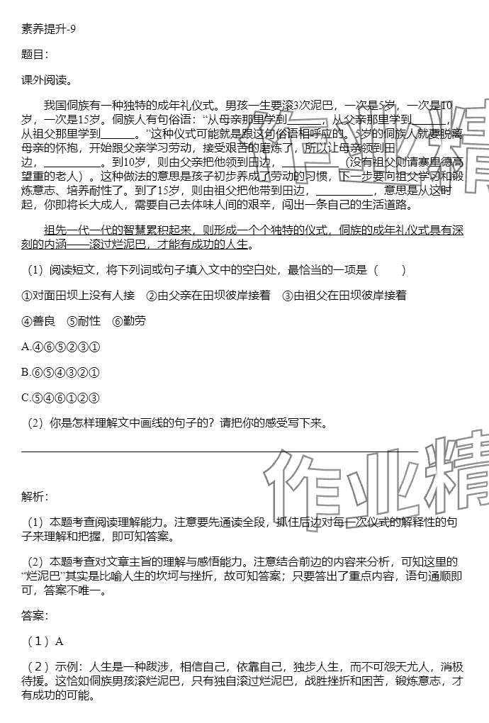 2024年同步实践评价课程基础训练六年级语文下册人教版 参考答案第17页