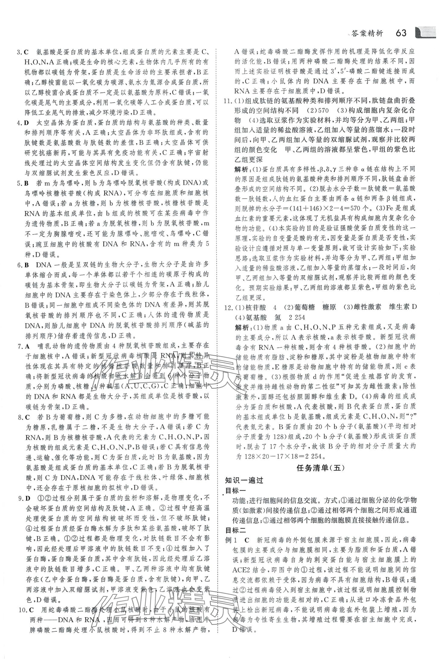 2024年金版新学案假期必刷题高一生物 第5页