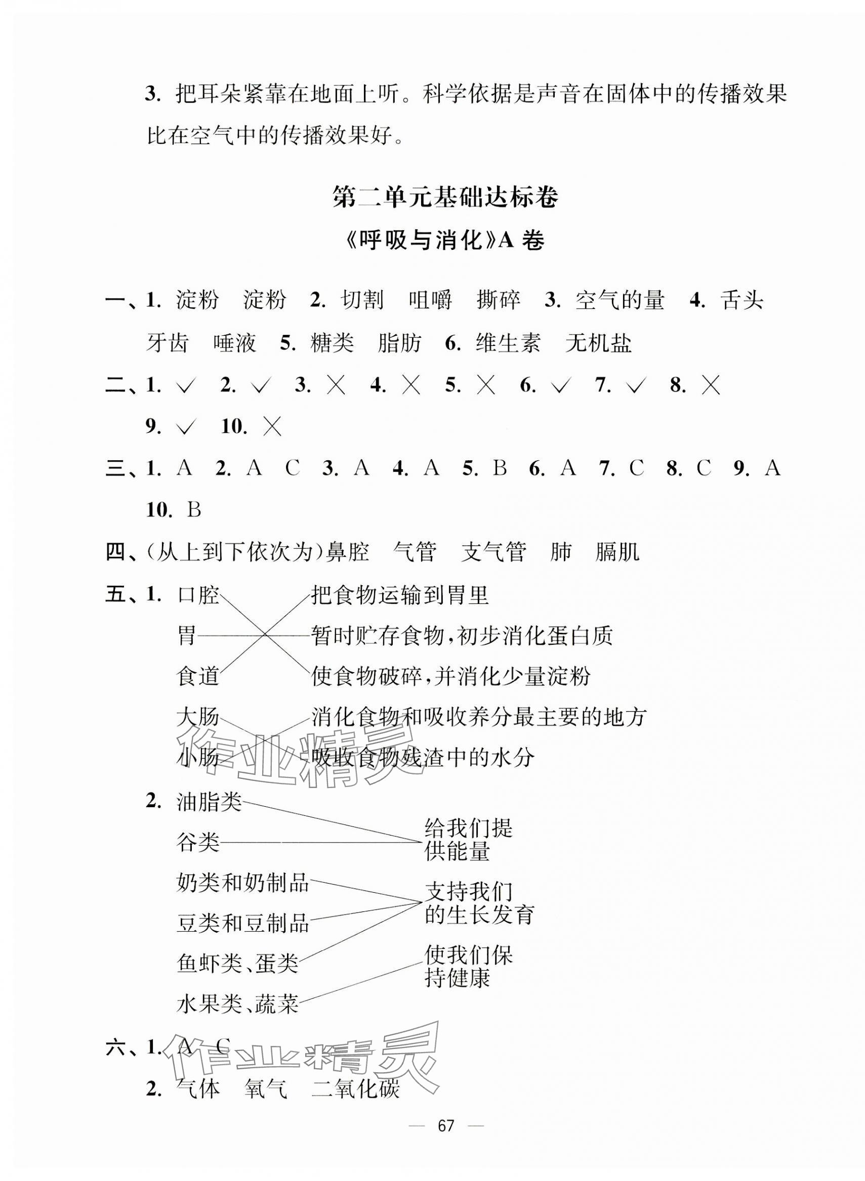 2023年江苏好卷四年级科学上册教科版 第3页