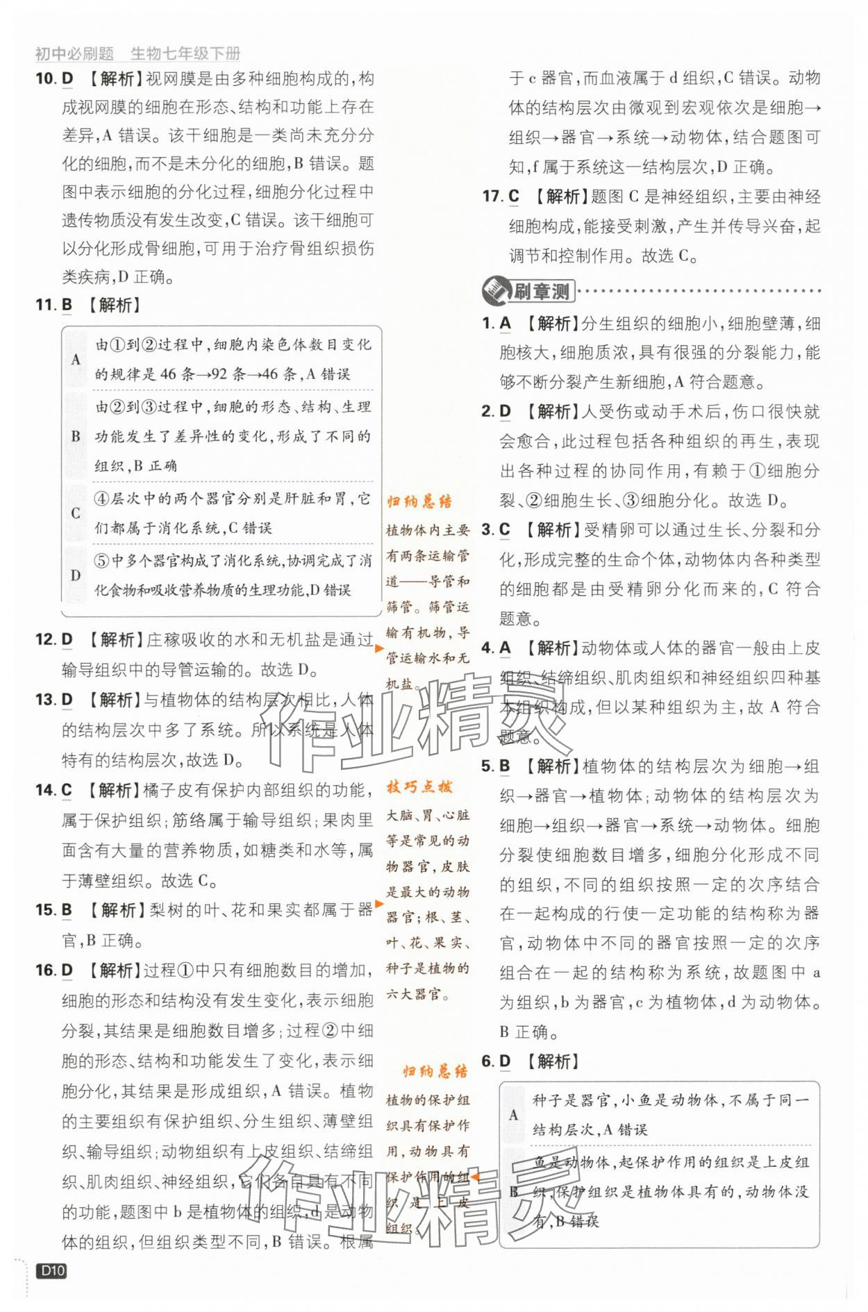 2024年初中必刷題七年級生物下冊蘇教版 第10頁