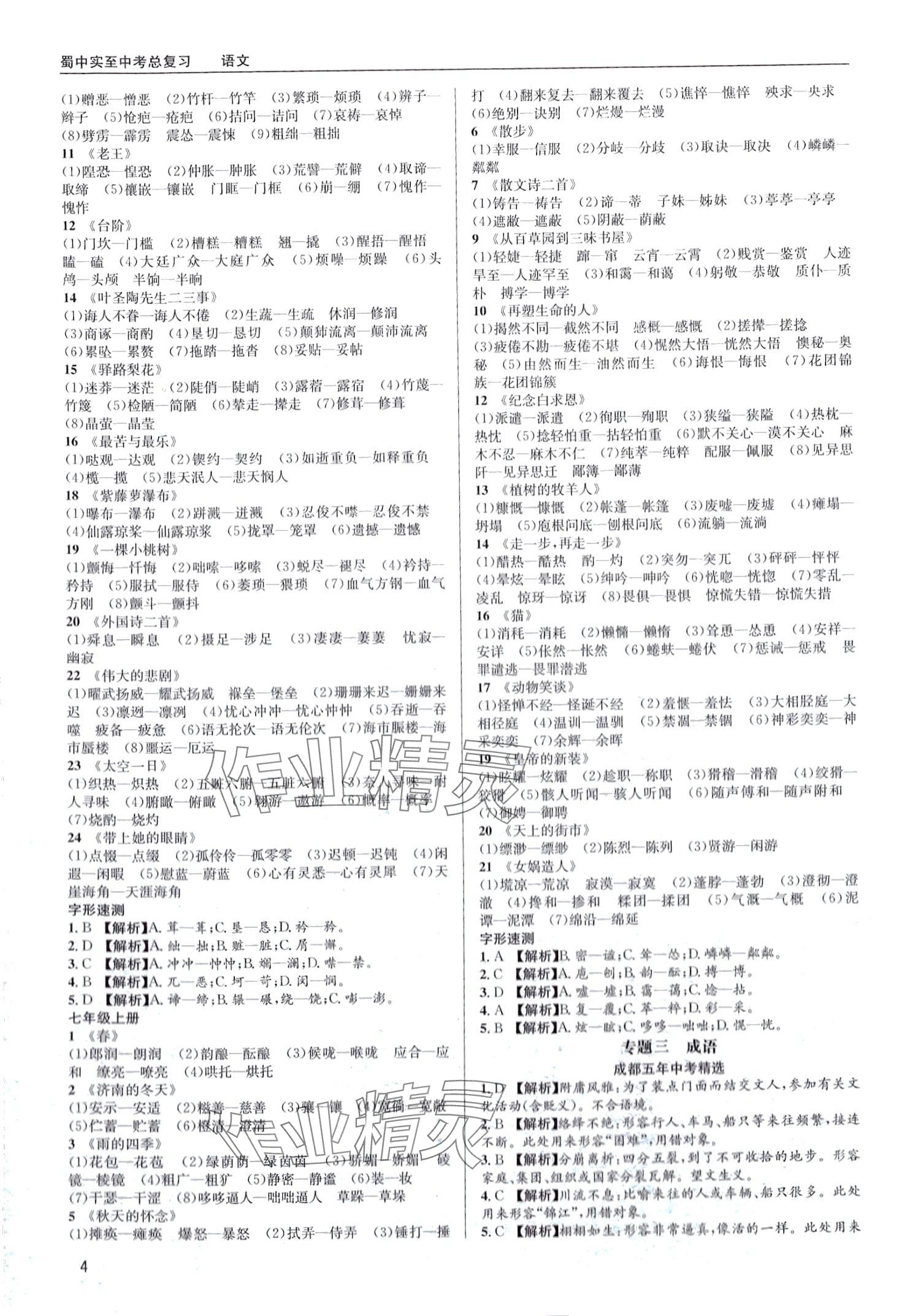 2024年蜀中实至中考总复习语文中考成都专版&nbsp;第4页