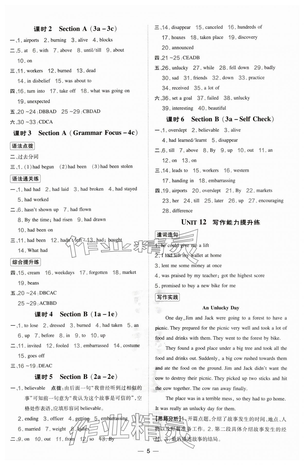 2025年点拨训练九年级英语下册人教版宁夏专版 参考答案第5页