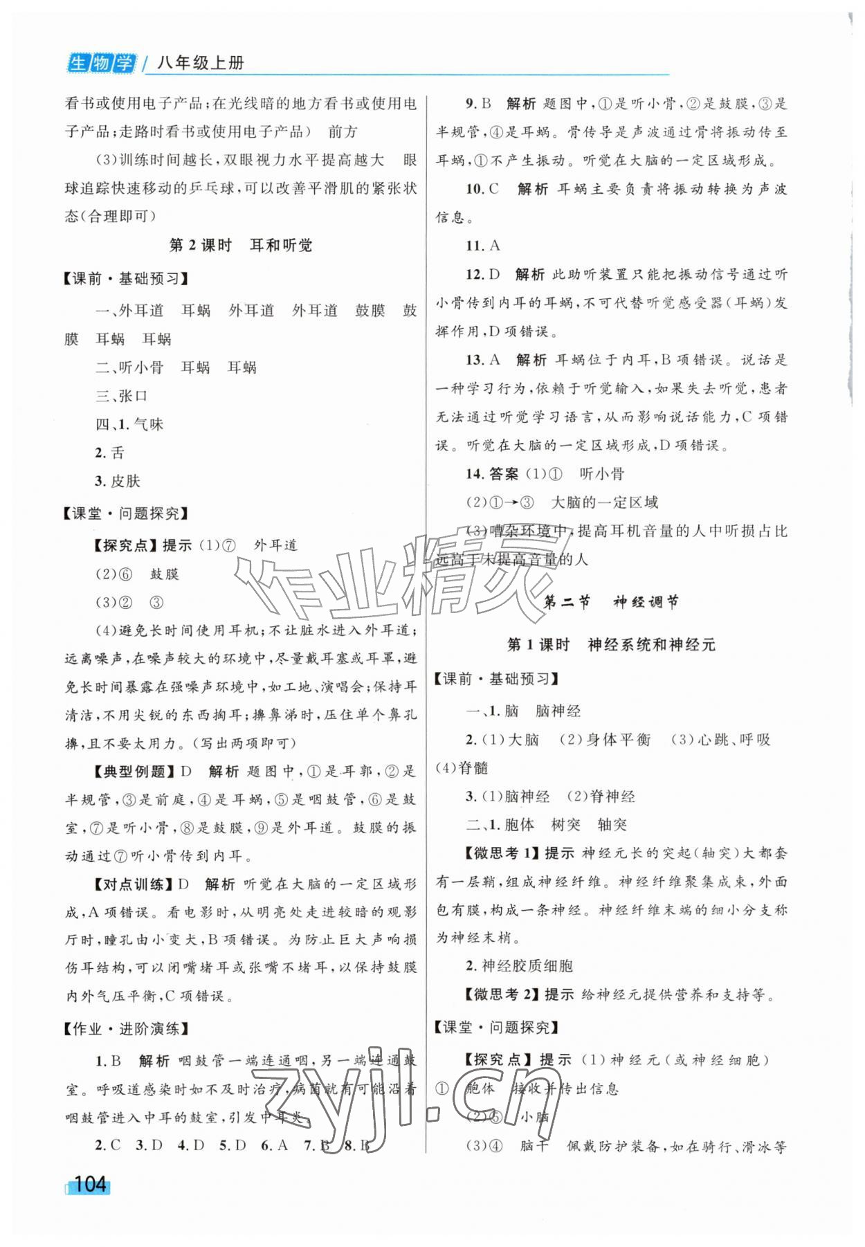 2026年同步学习目标与检测八年级生物上册人教版&nbsp;第2页