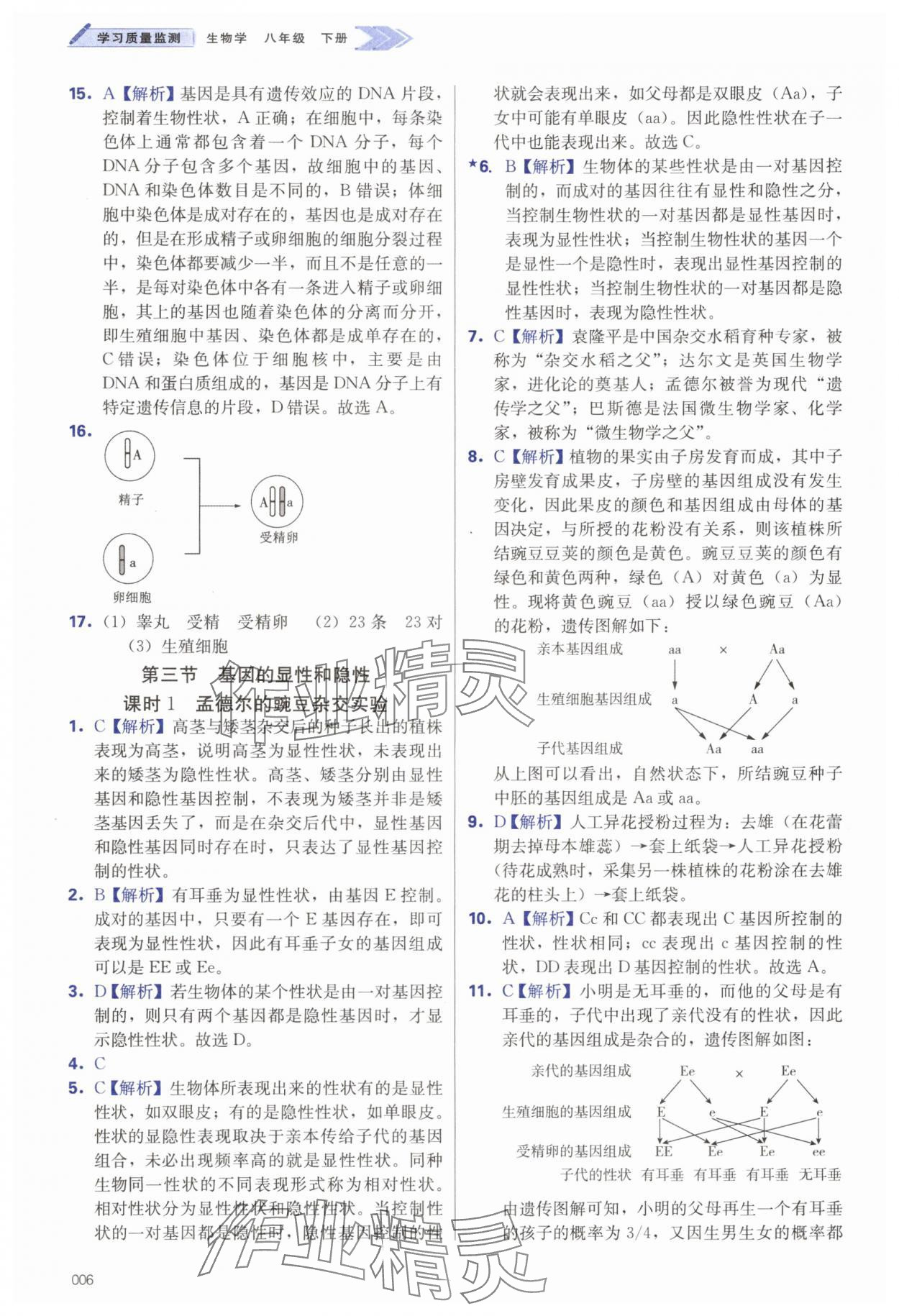 2025年學(xué)習(xí)質(zhì)量監(jiān)測(cè)八年級(jí)生物下冊(cè)人教版 第6頁(yè)