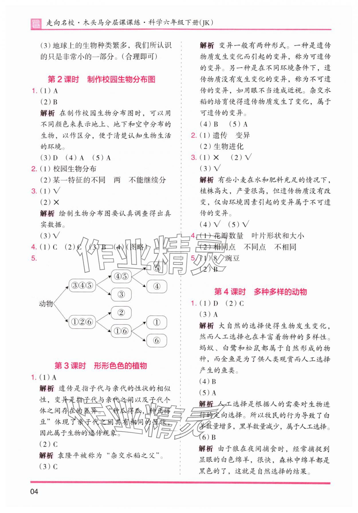 2024年木頭馬分層課課練六年級科學(xué)下冊教科版 參考答案第4頁