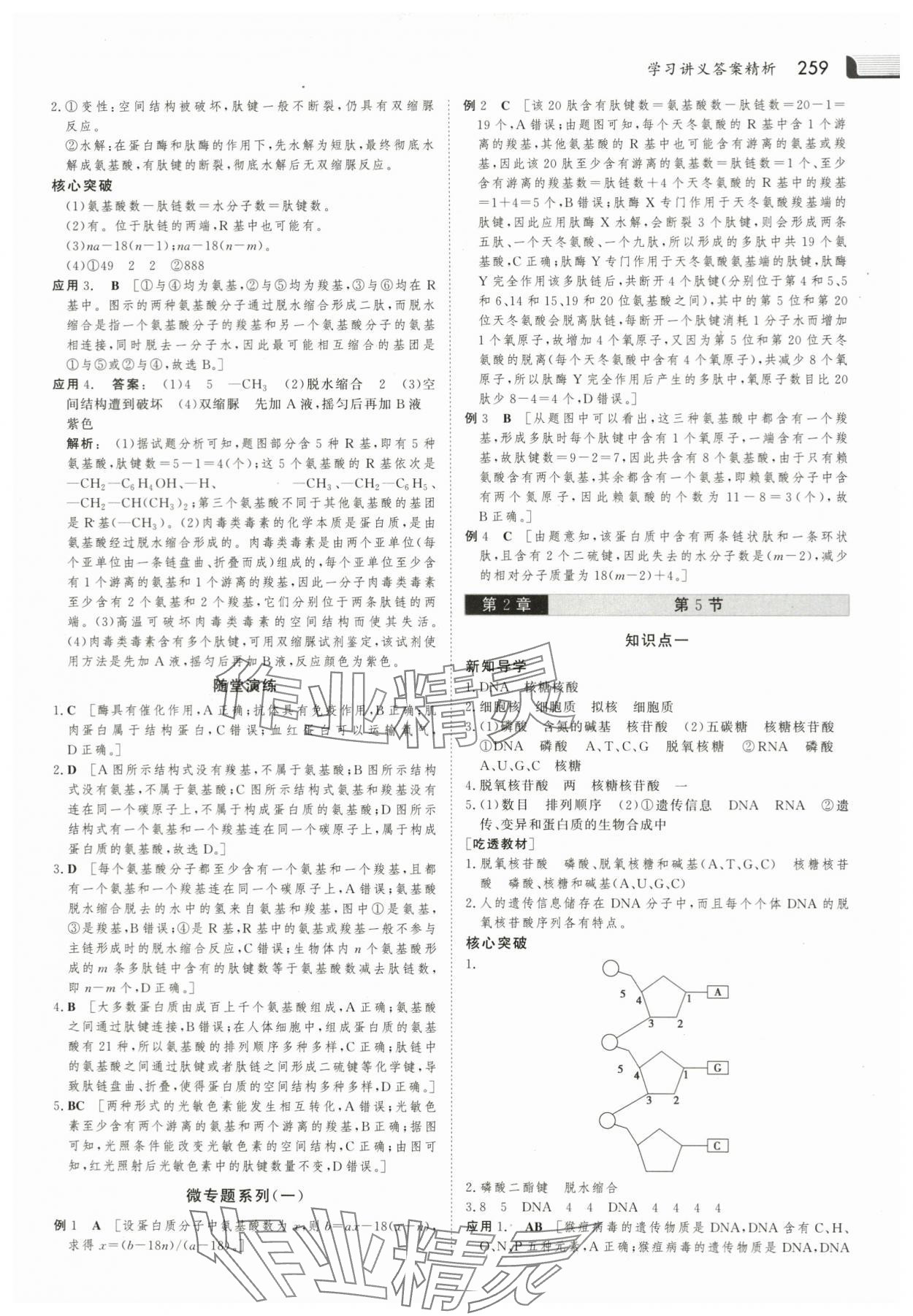 2023年金版新學(xué)案高中生物必修1人教版 參考答案第6頁