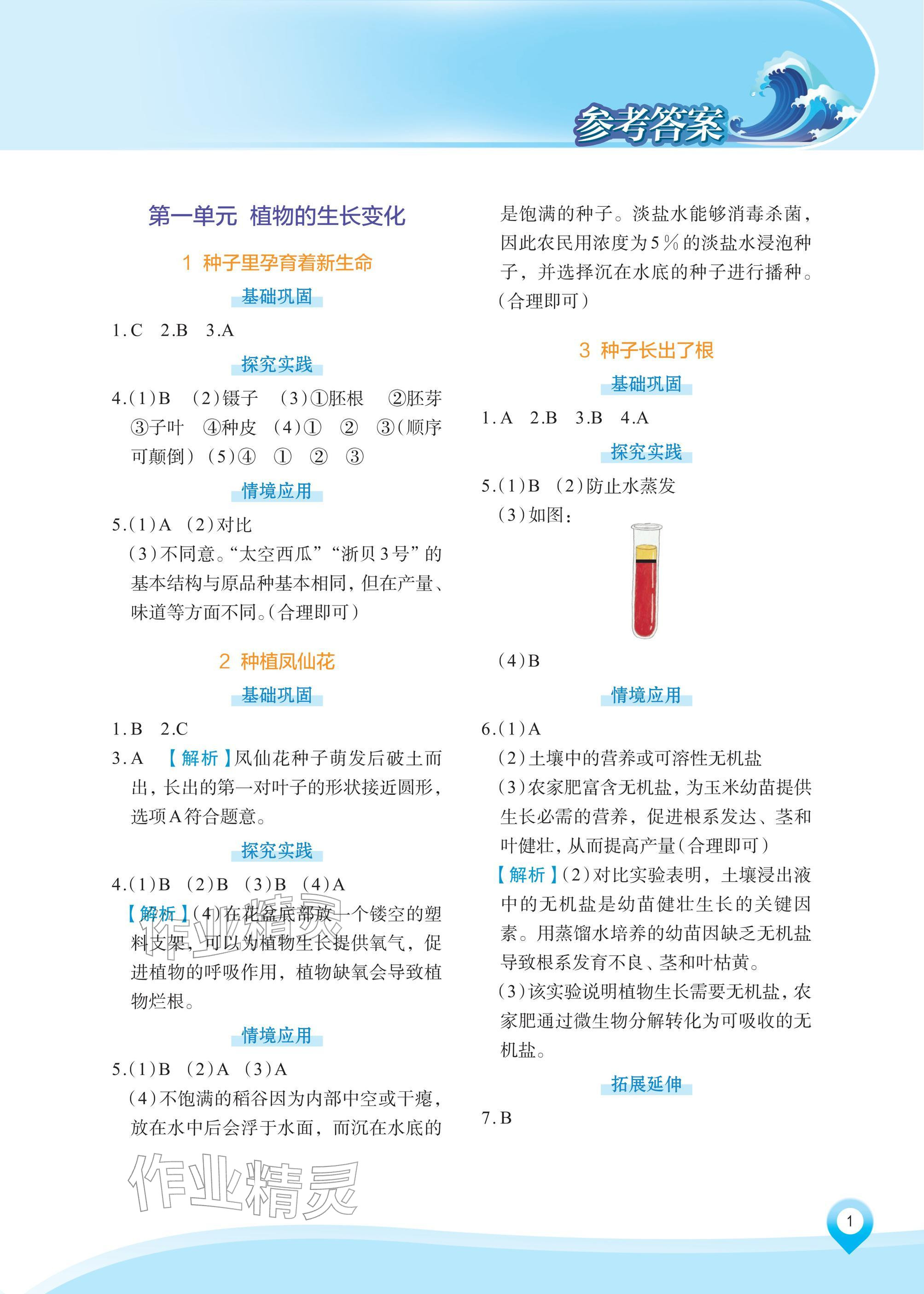 2026年知行合素养提升训练四年级科学下册教科版&nbsp;参考答案第1页