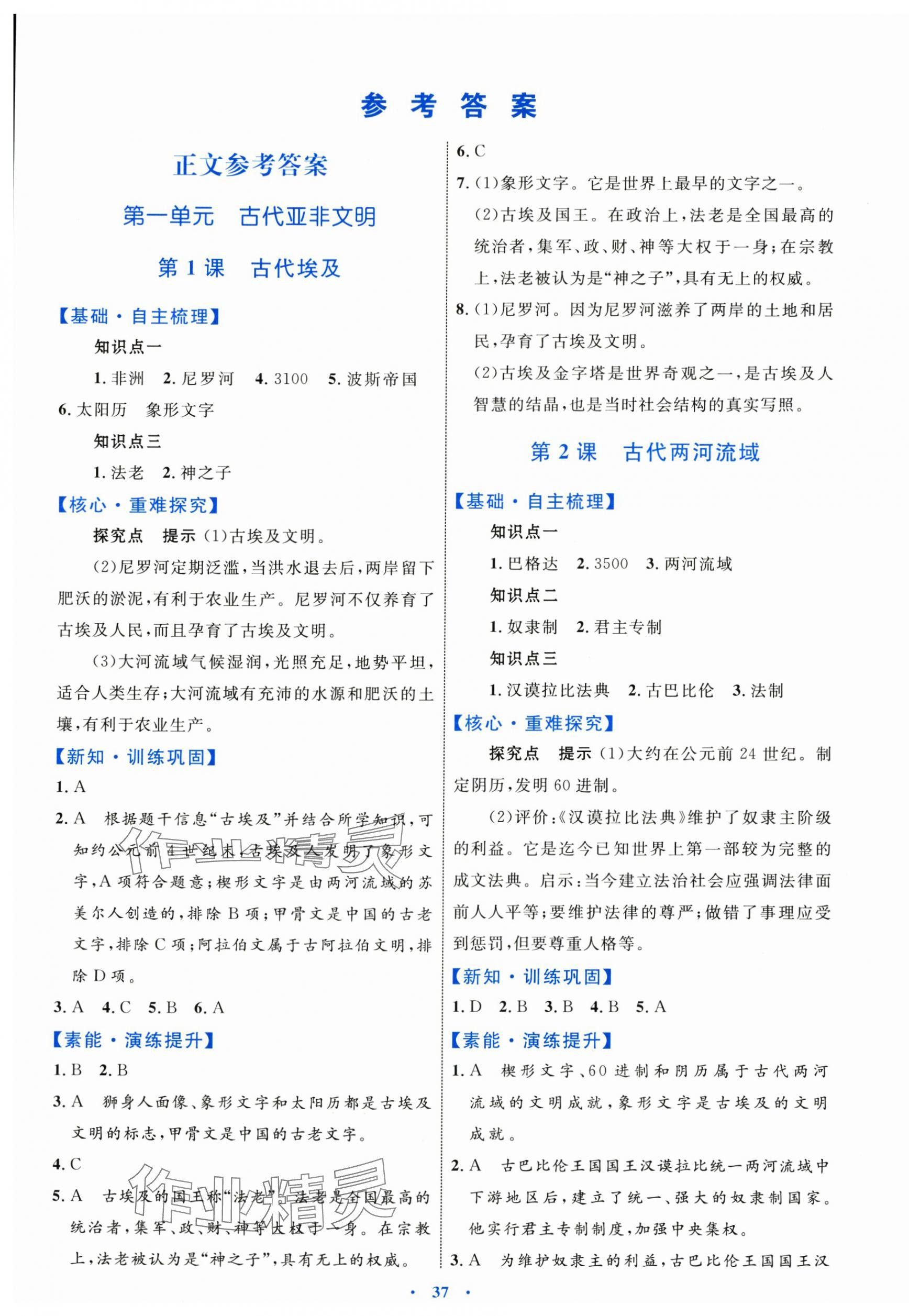 2024年同步學(xué)習(xí)目標(biāo)與檢測九年級歷史上冊人教版 第1頁