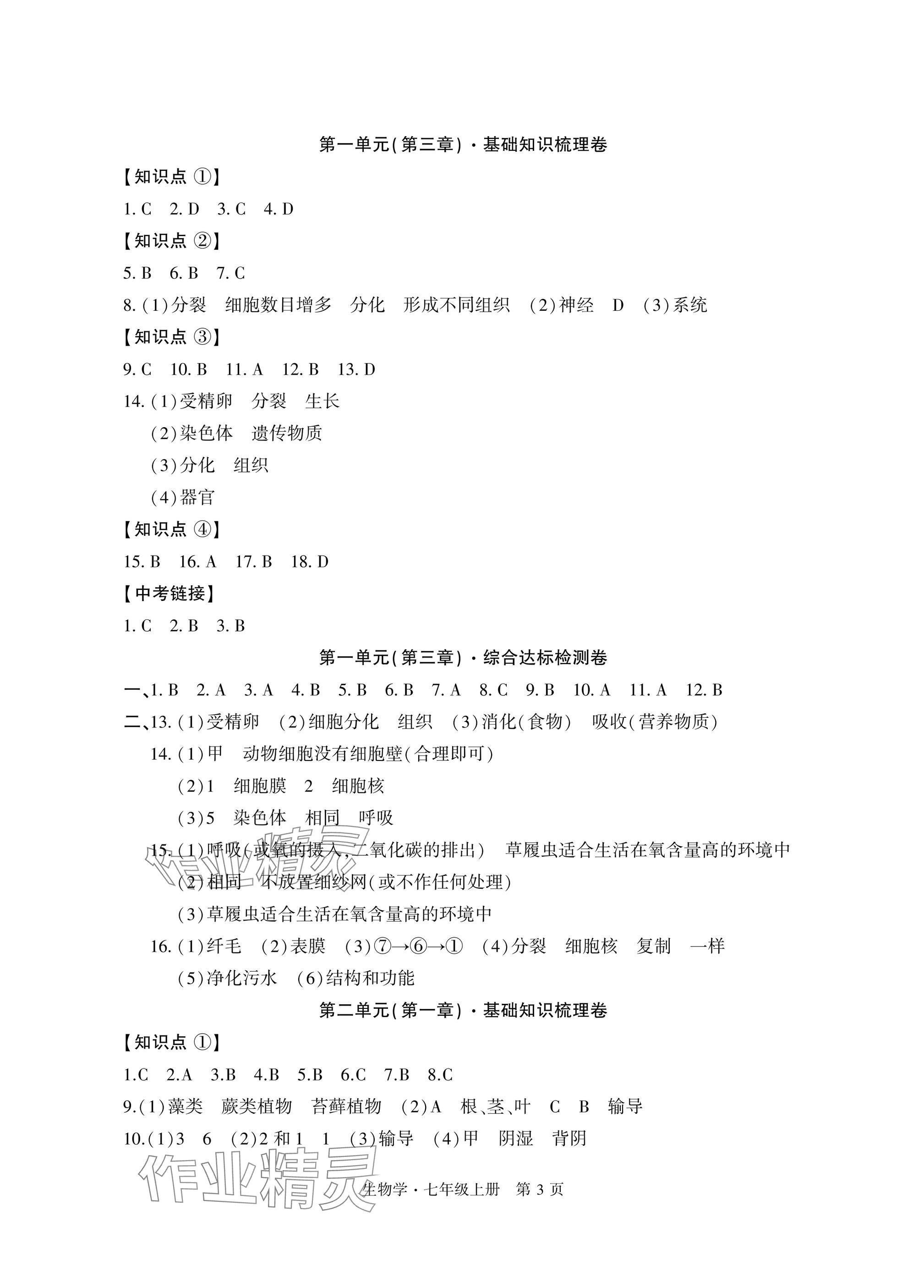 2024年初中同步练习册自主测试卷七年级生物上册人教版 参考答案第3页