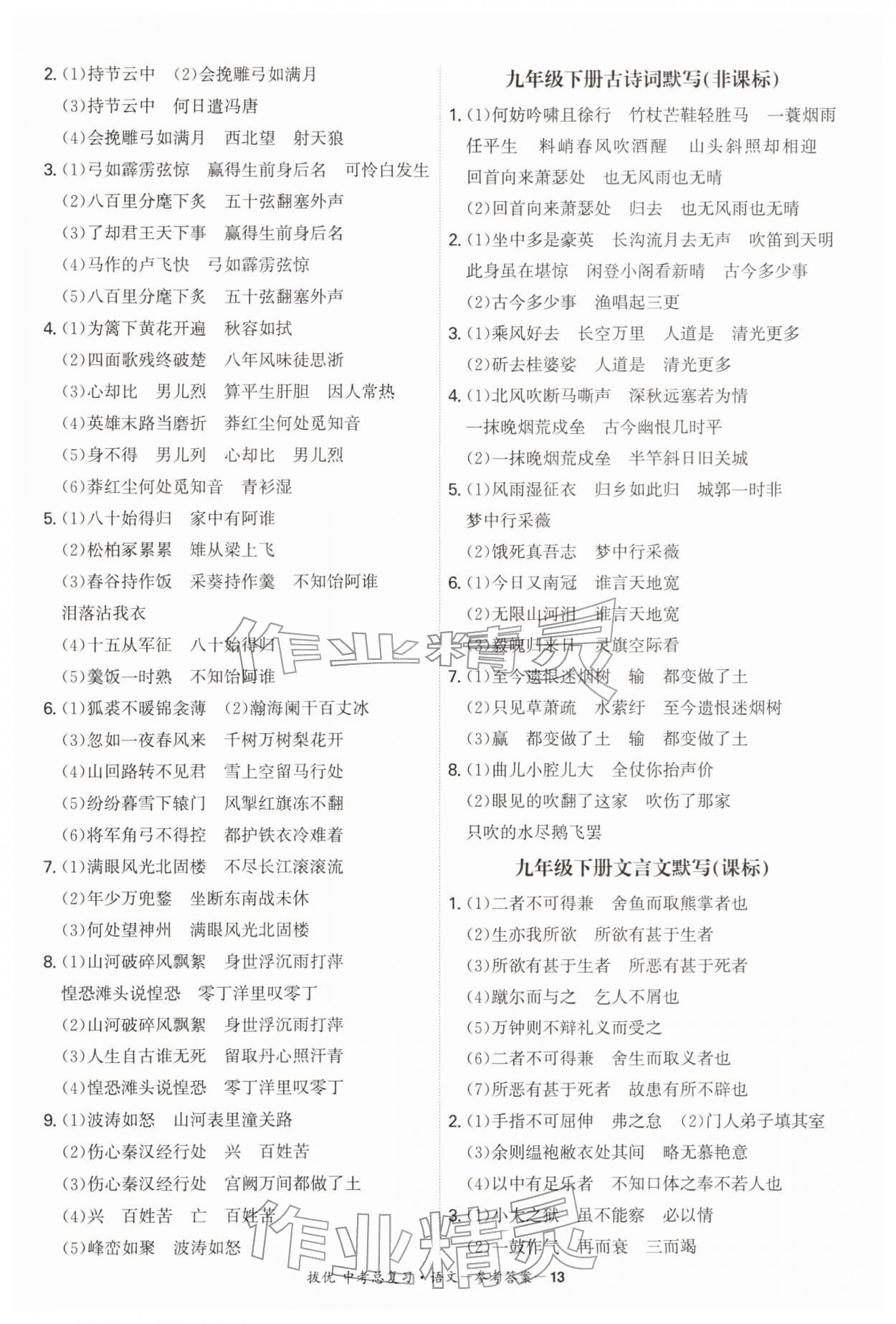 2026年拔优中考总复习语文&nbsp;第13页