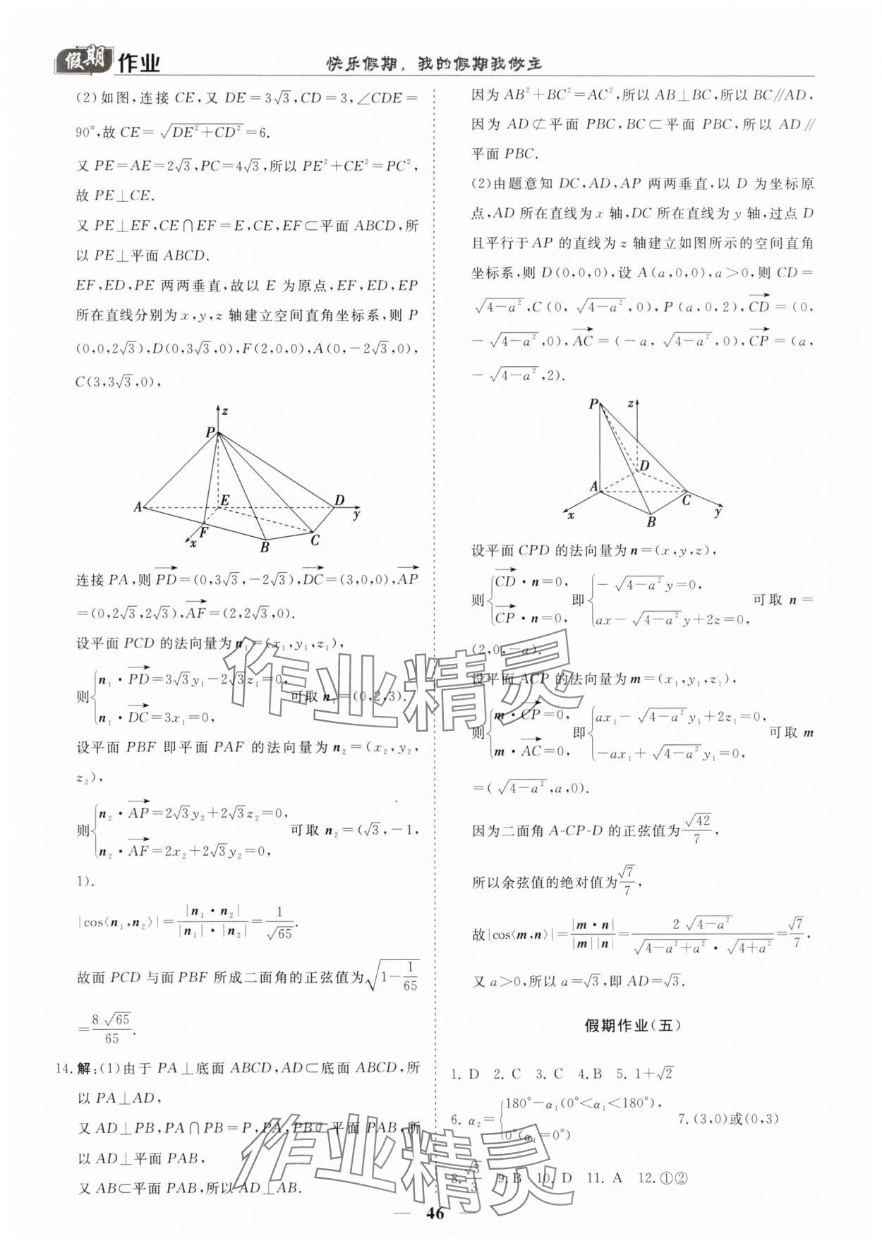 2025年快乐假期崇文书局高二数学&nbsp;第4页
