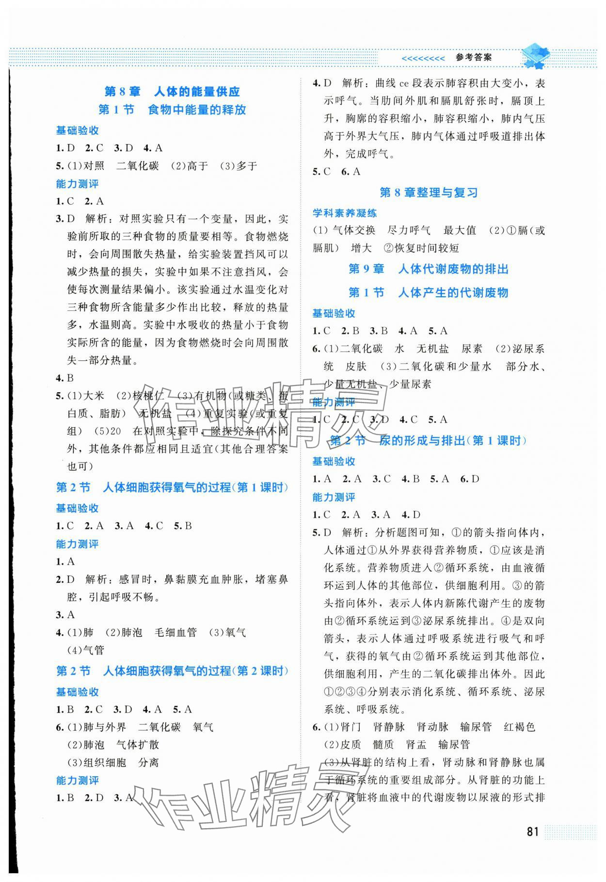 2025年課堂精練七年級生物下冊北師大版福建專版 第3頁