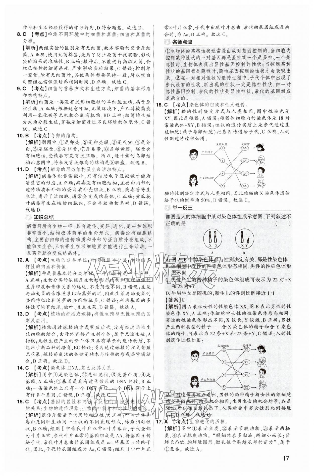 2025年中考導航東方出版社生物河南專版 第17頁