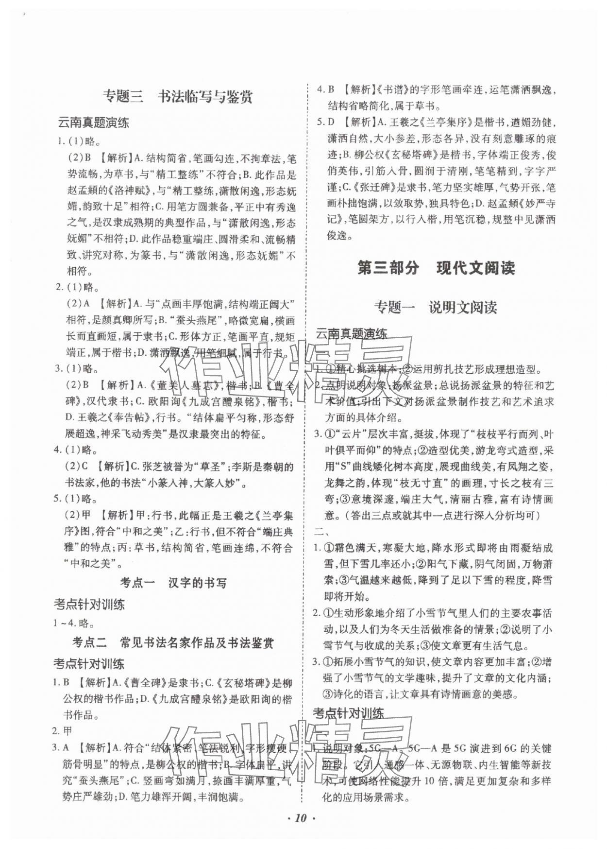 2025年本土攻略精準(zhǔn)復(fù)習(xí)方案語文云南專版 參考答案第10頁