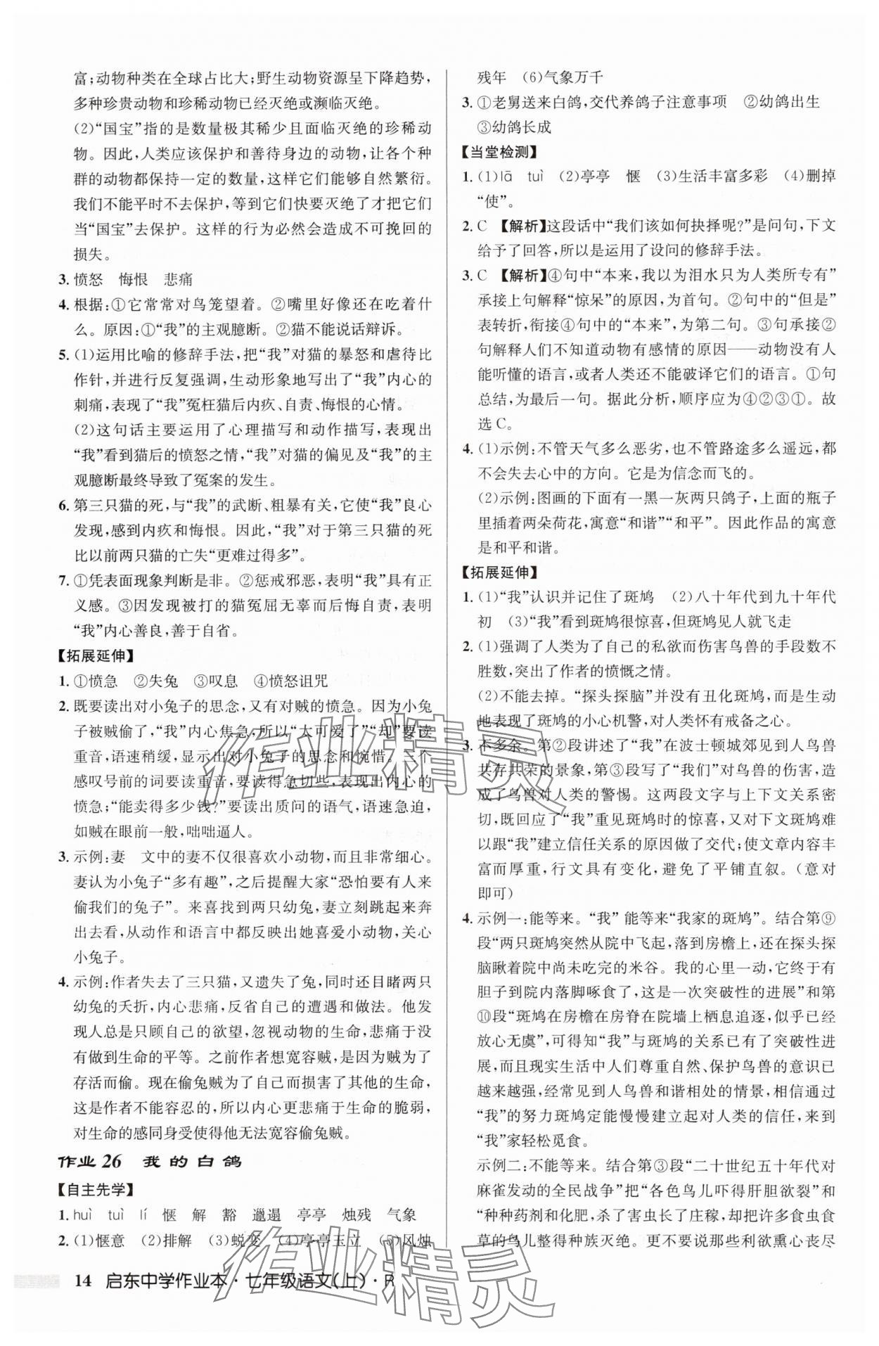2025年啟東中學(xué)作業(yè)本七年級(jí)語(yǔ)文上冊(cè)人教版 第14頁(yè)