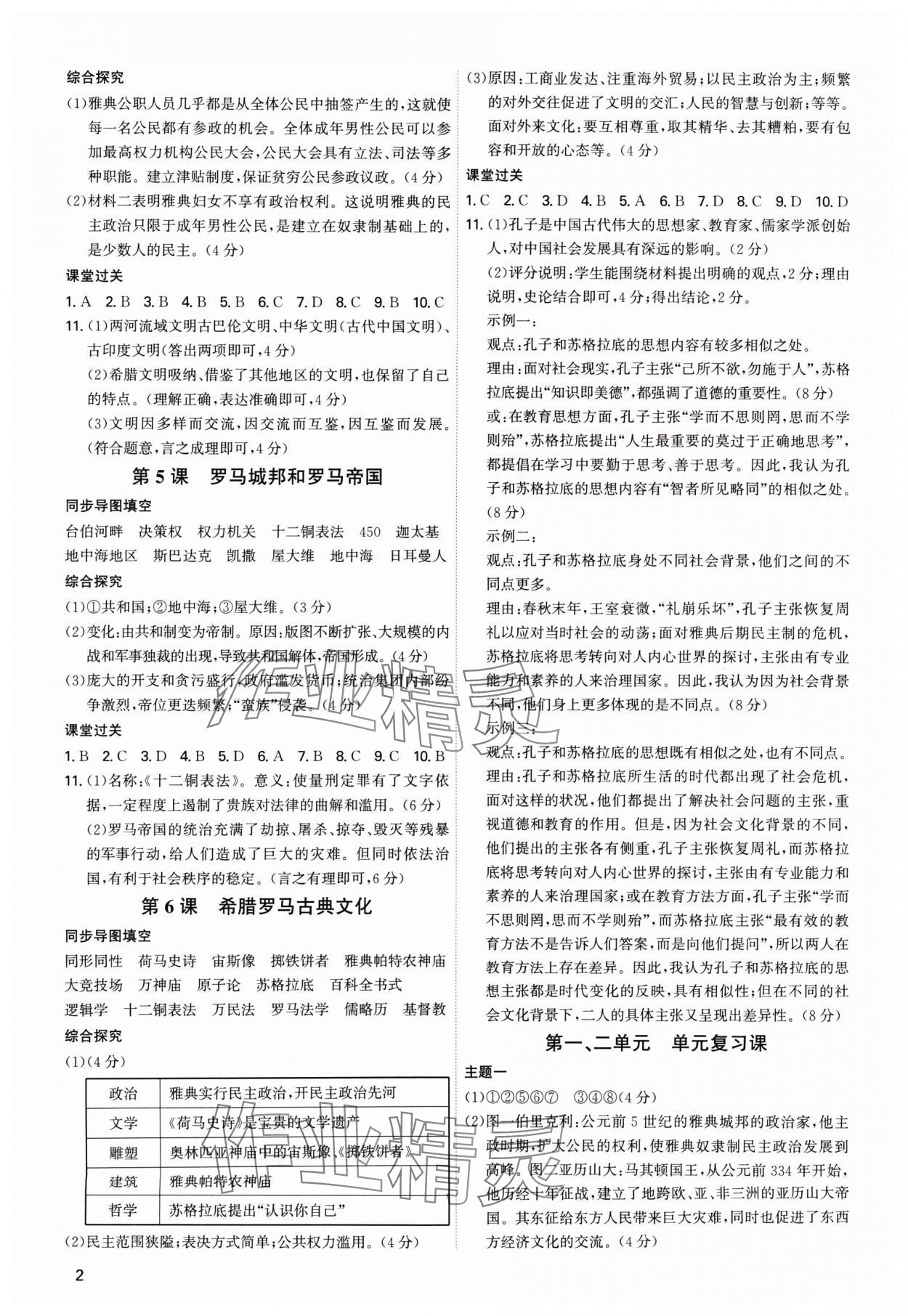 2024年新結(jié)構(gòu)學(xué)習(xí)測評九年級歷史全一冊人教版 第2頁