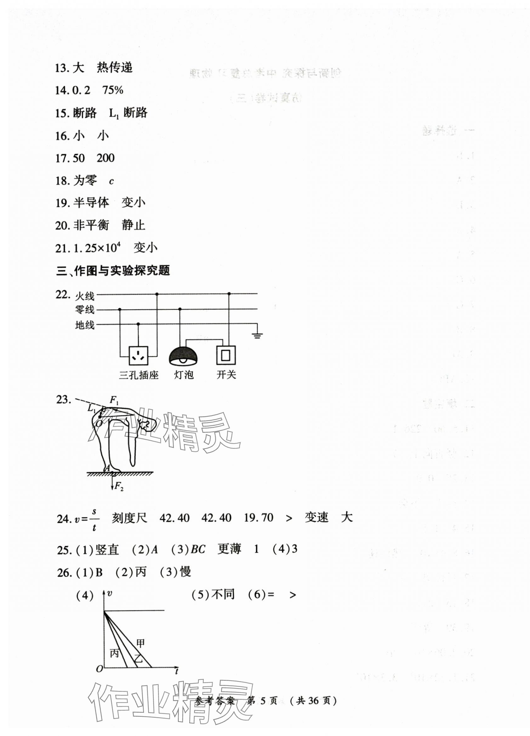 2025年創(chuàng)新與探究中考總復(fù)習(xí)物理 第5頁(yè)