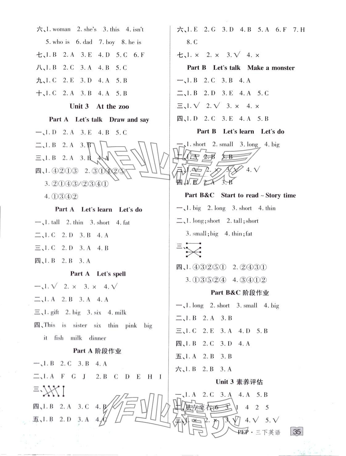 2024年花兒與星星三年級英語下冊人教PEP版 第3頁