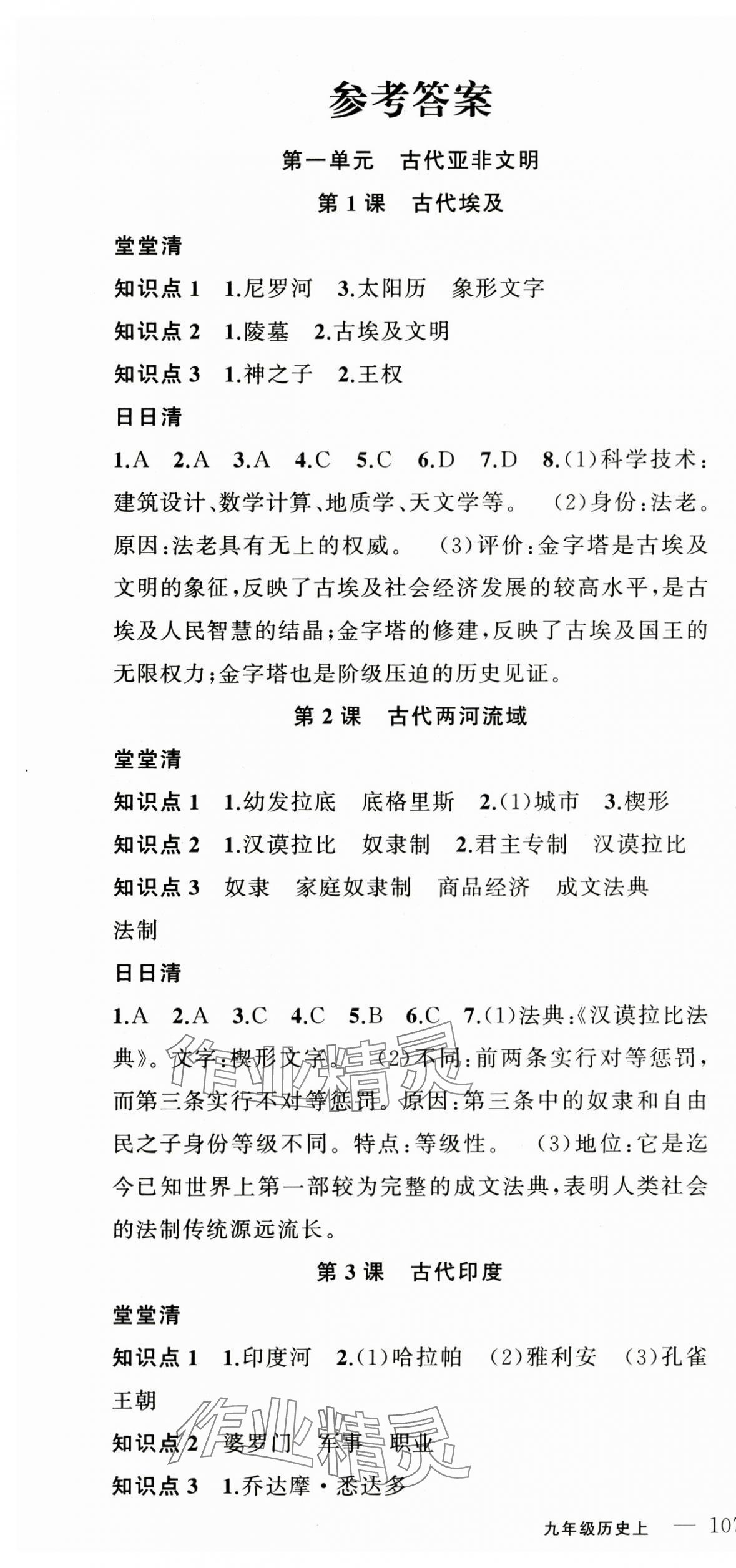 2025年四清导航九年级历史上册人教版 第1页
