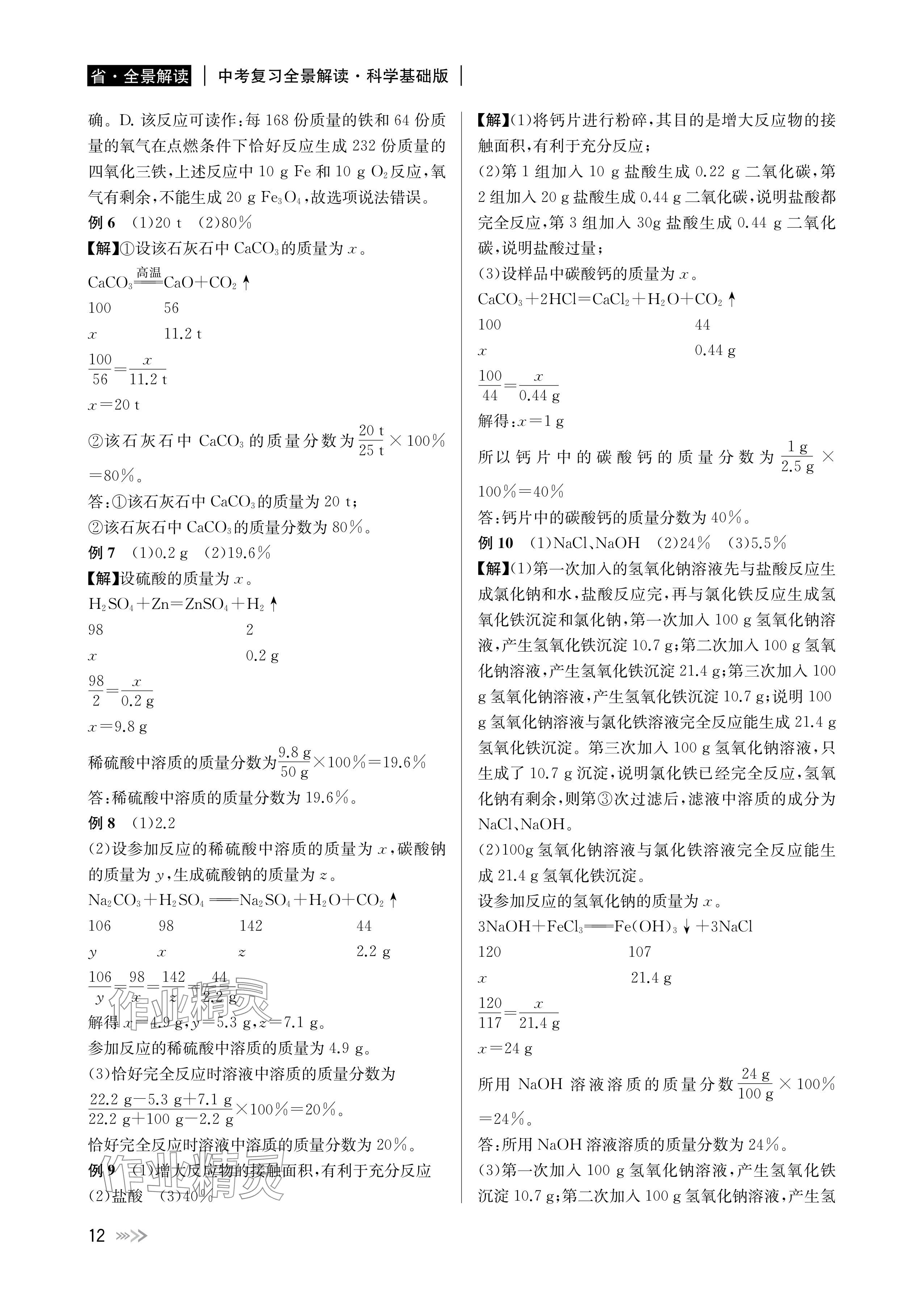 2024年中考复习全景解读科学基础版 参考答案第12页