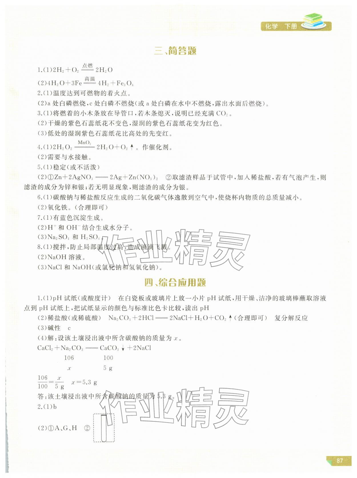 2026年河南省初中学业水平考试解析与检测化学下册&nbsp;参考答案第2页