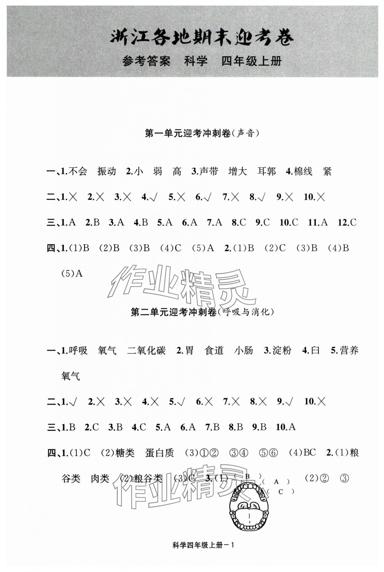 2024年浙江各地期末迎考卷四年級(jí)科學(xué)上冊(cè)教科版 第1頁(yè)