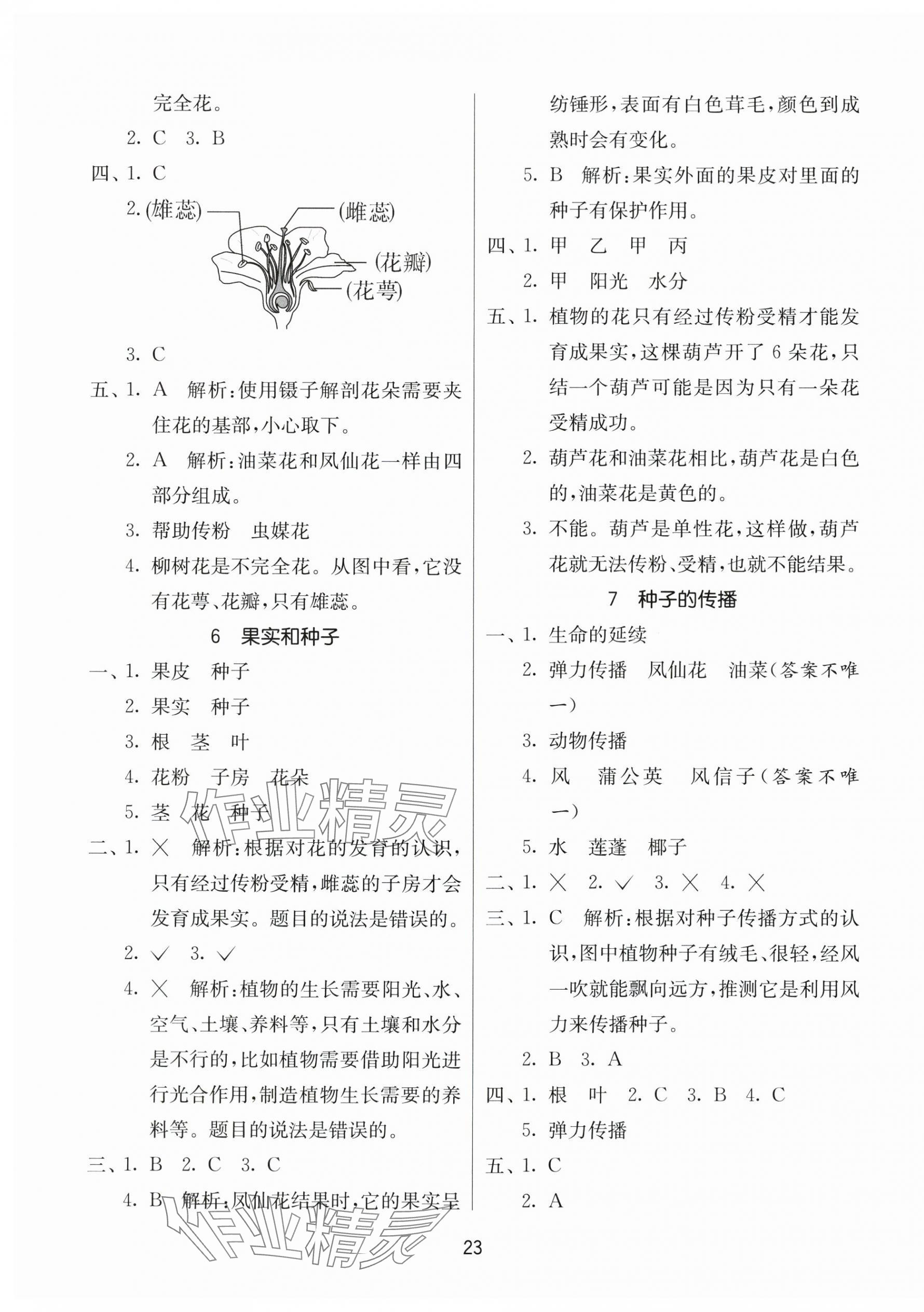 2025年課時訓練江蘇人民出版社四年級科學下冊教科版 參考答案第3頁