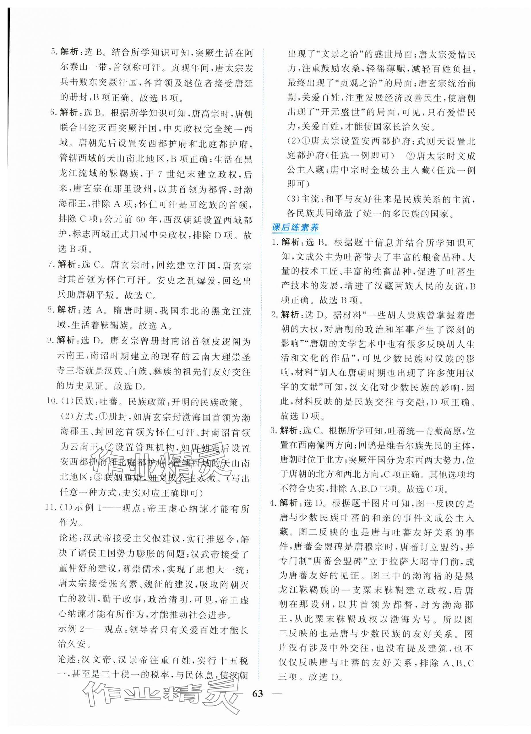 2025年新坐标同步练习七年级历史下册人教版青海专用 第7页