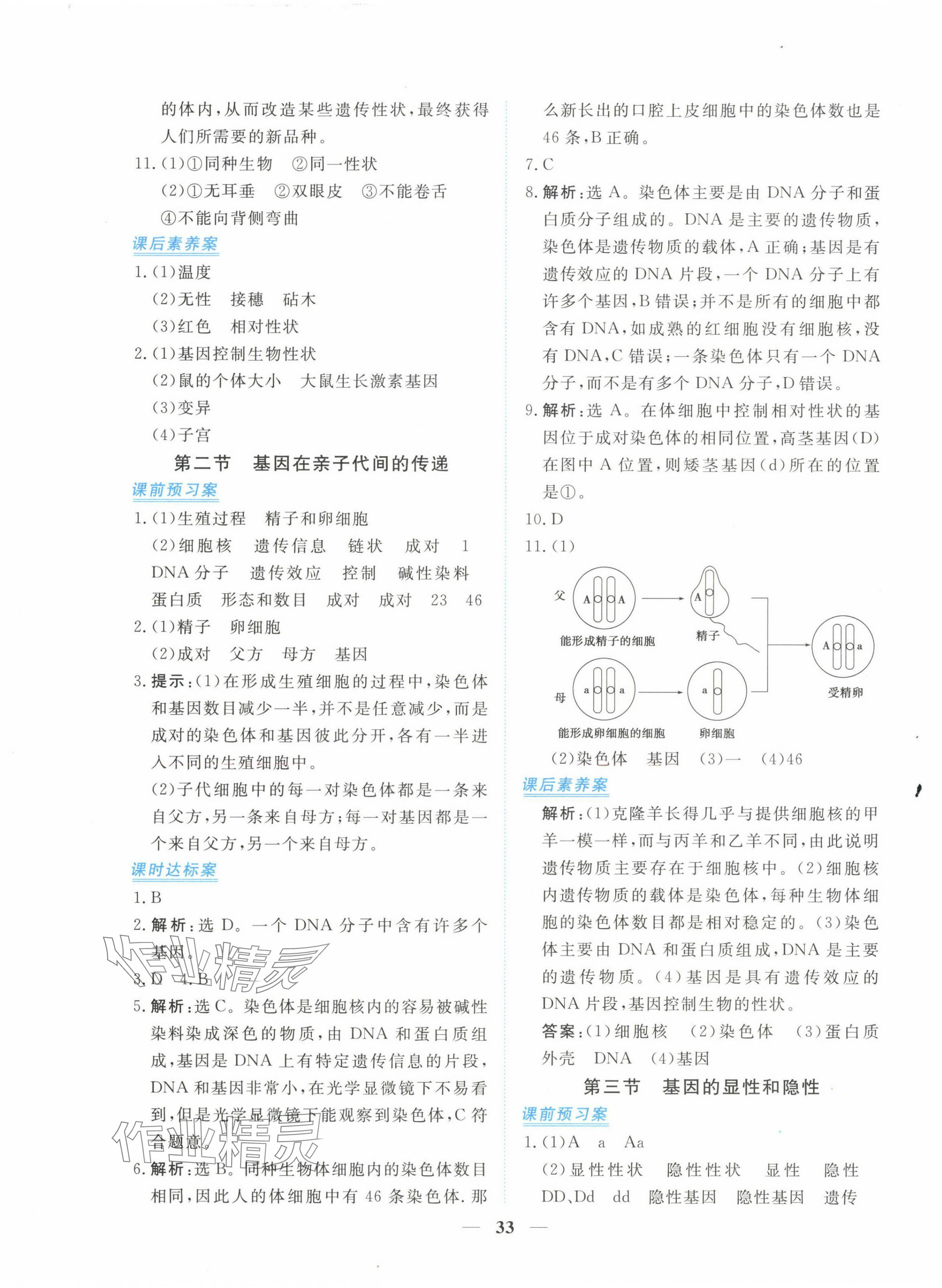 2024年新坐标同步练习八年级生物下册人教版青海专用 第5页