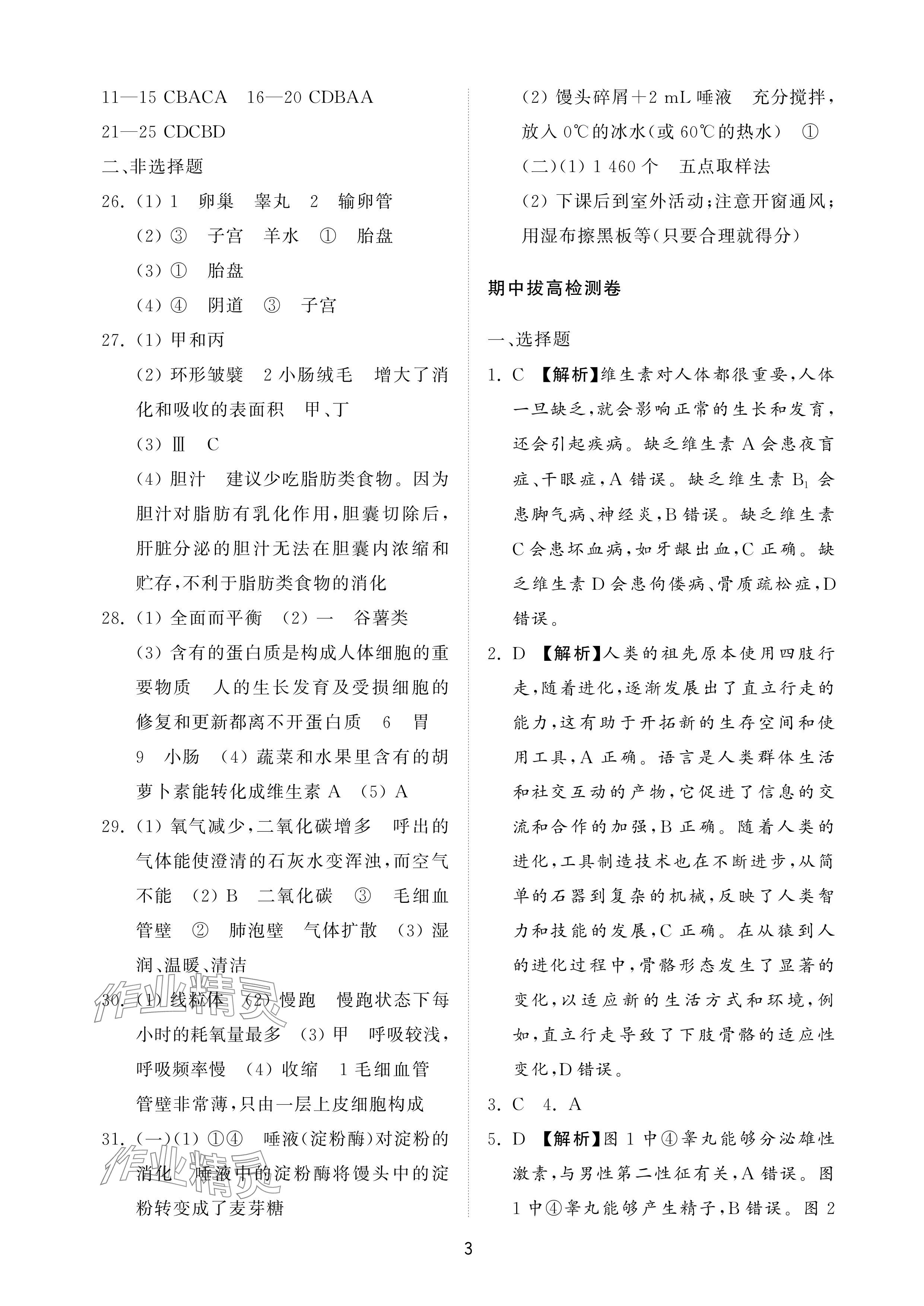 2024年同步練習(xí)冊(cè)配套檢測(cè)卷七年級(jí)生物上冊(cè)魯科版五四制 參考答案第3頁