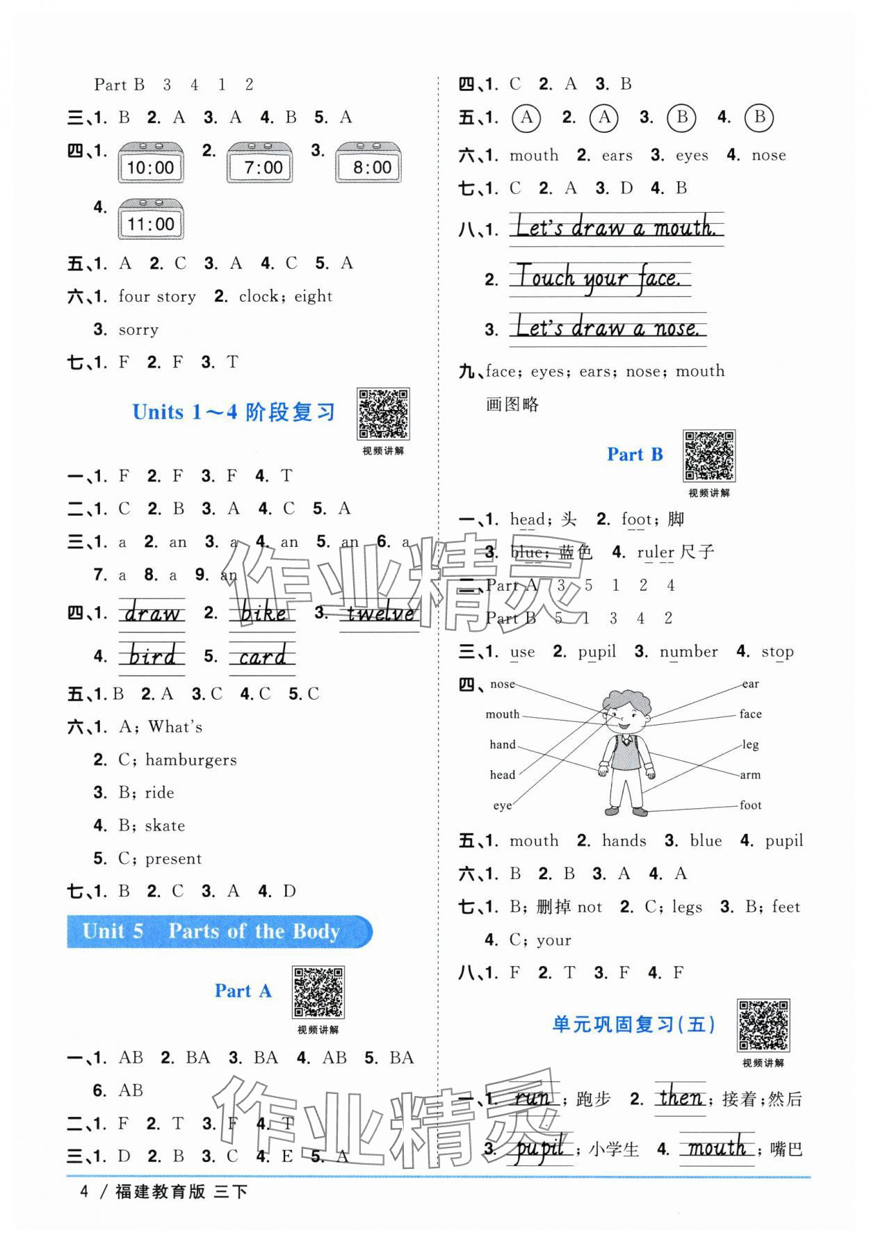 2024年阳光同学课时优化作业三年级英语下册闽教版福建专版&nbsp;参考答案第4页