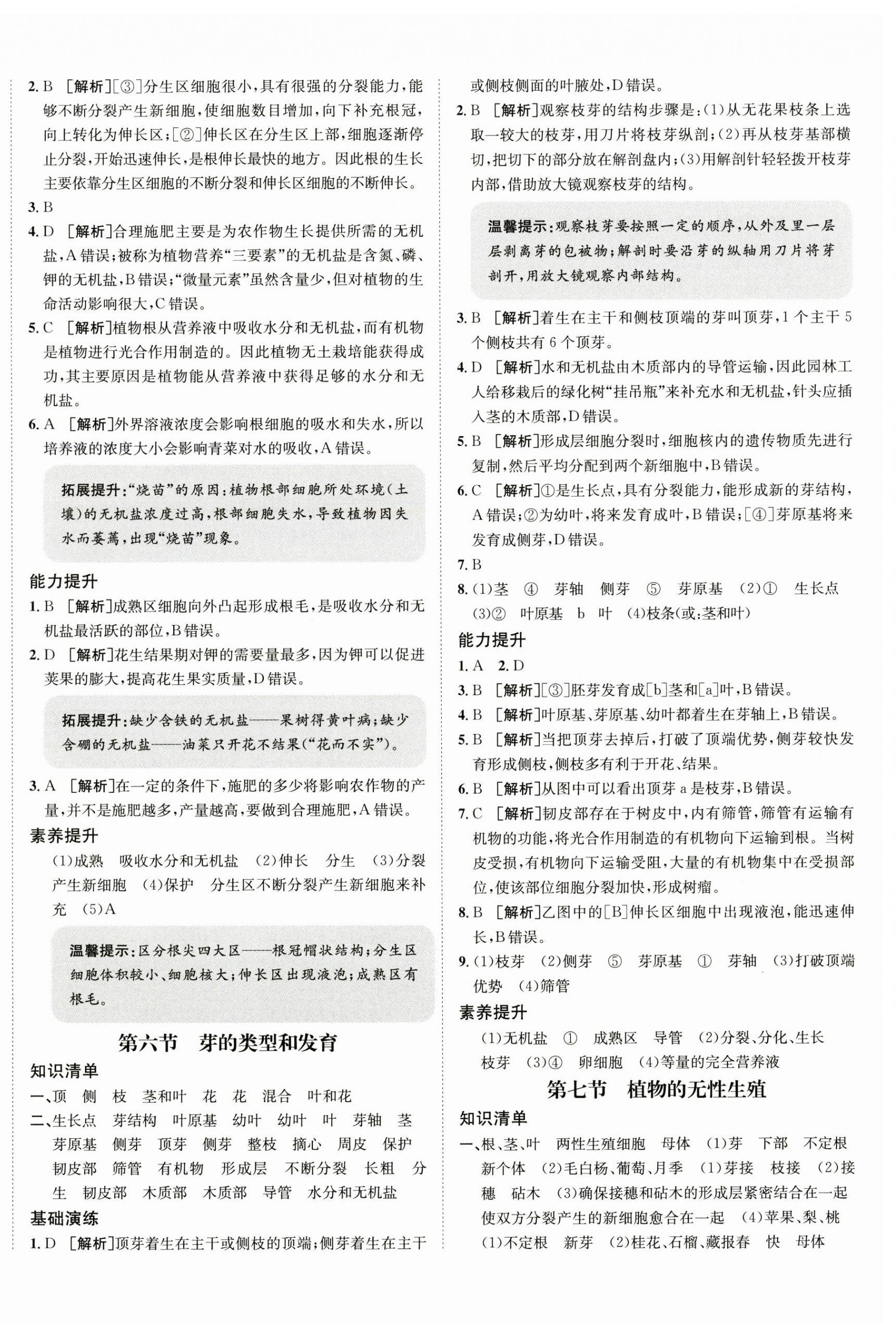 2024年同行学案八年级生物上册济南版 第4页