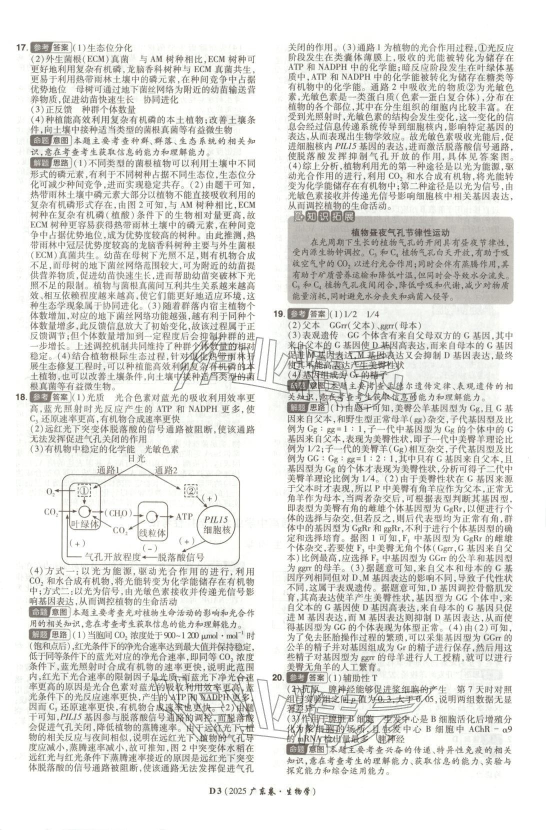 2026年新高考5年真题高中生物全一册通用版广东专版 第3页