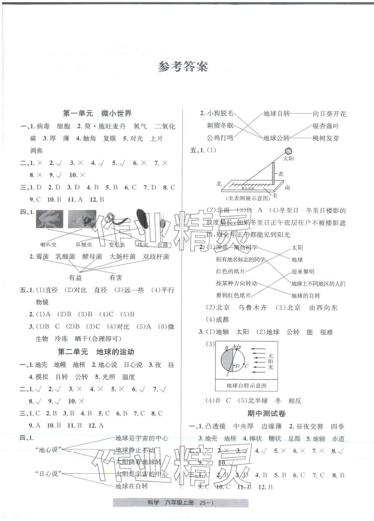 2025年期末直通车六年级科学上册教科版 第1页