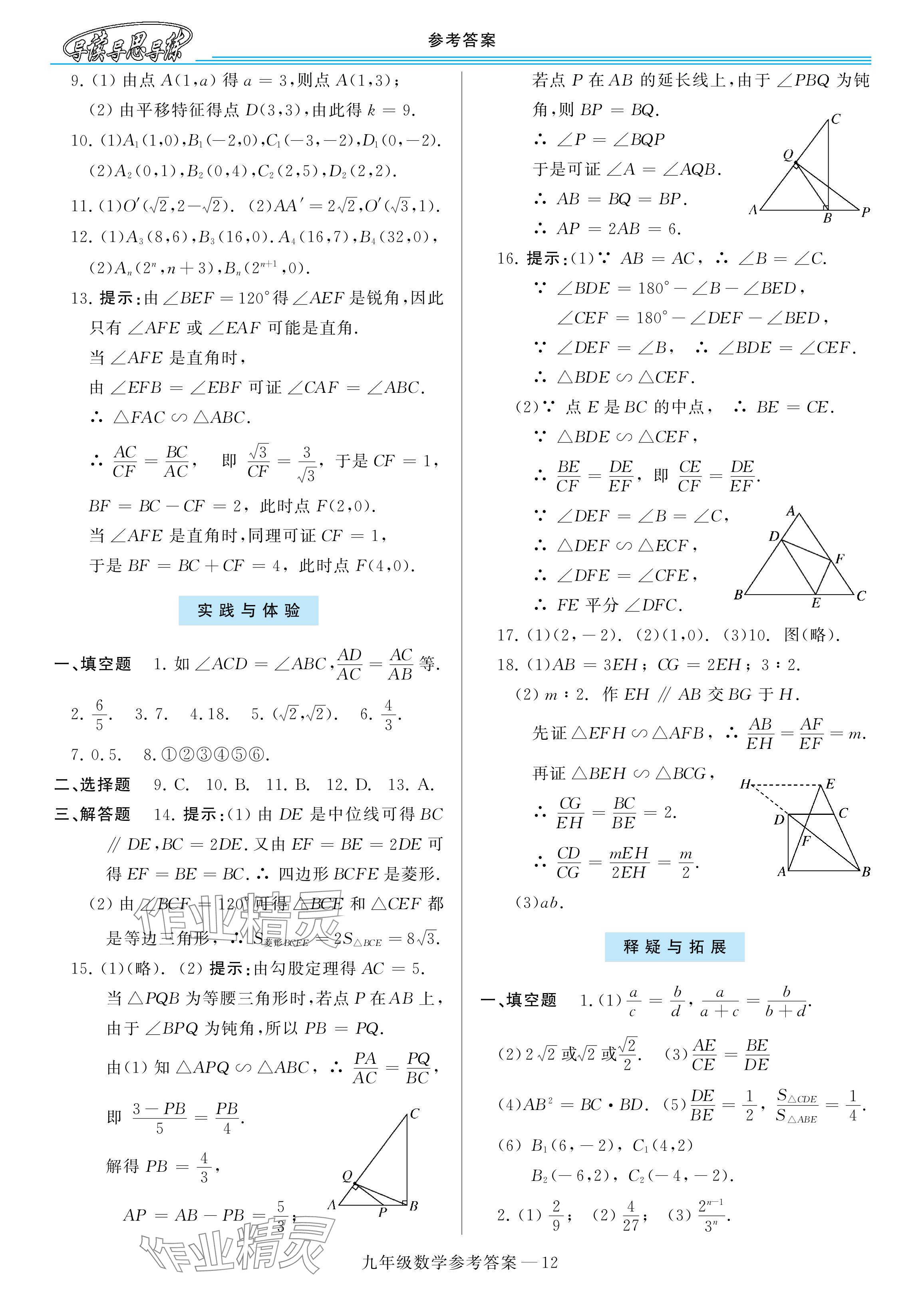 2024年新課程學(xué)習(xí)指導(dǎo)九年級(jí)數(shù)學(xué)全一冊(cè)華師大版 參考答案第12頁(yè)