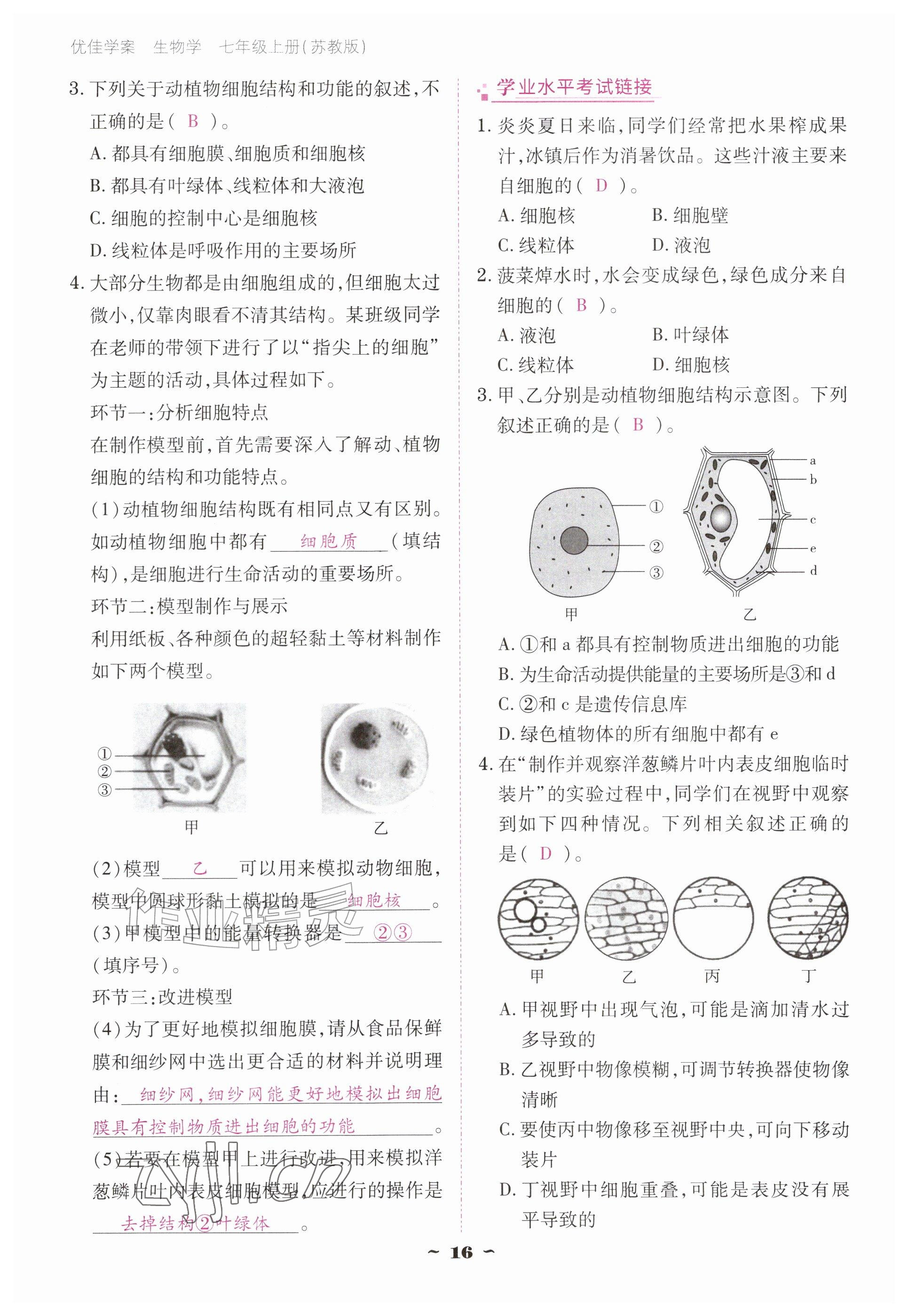 2026年云南省标准教辅优佳学案七年级历史上册人教版&nbsp;参考答案第16页