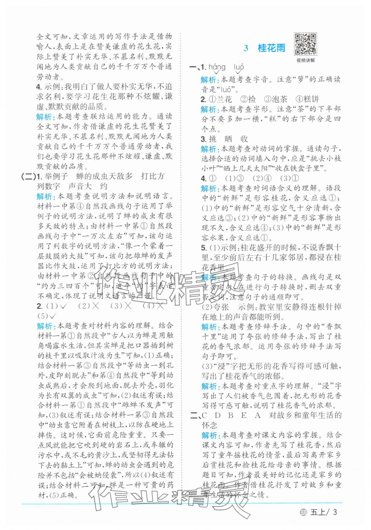 2025年陽光同學(xué)課時優(yōu)化作業(yè)五年級語文上冊人教版五四制 第3頁