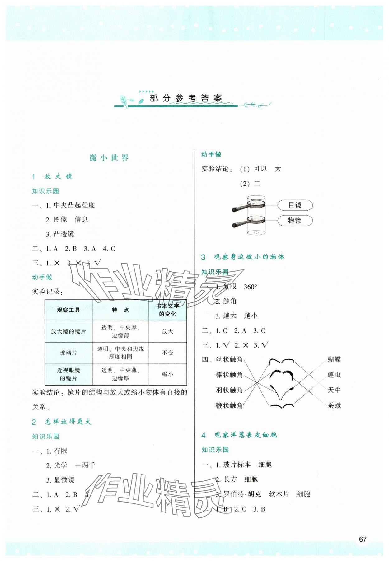 2025年新课程学习与评价六年级科学上册教科版 参考答案第1页