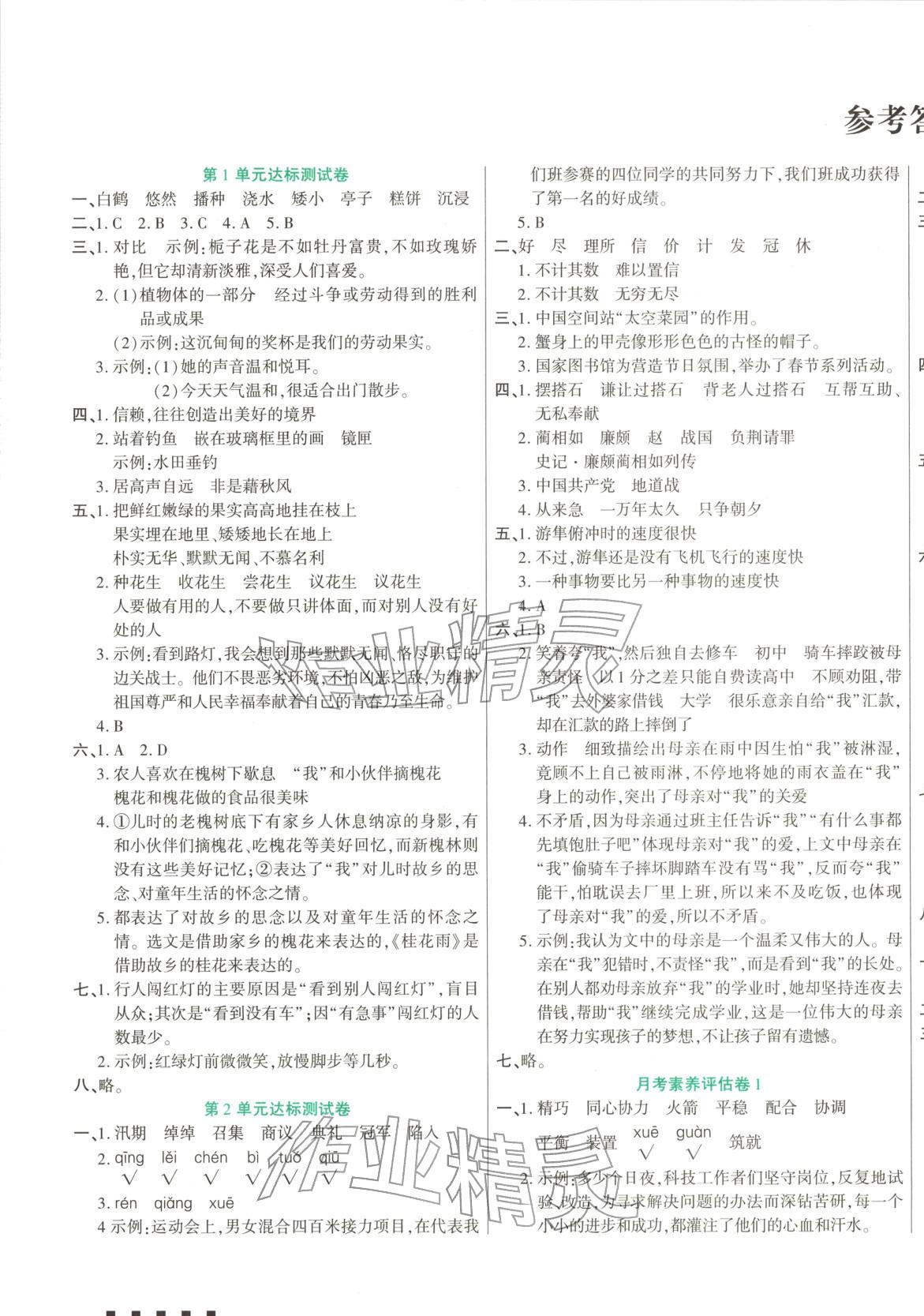 2025年金奖好卷五年级语文上册人教版&nbsp;第1页