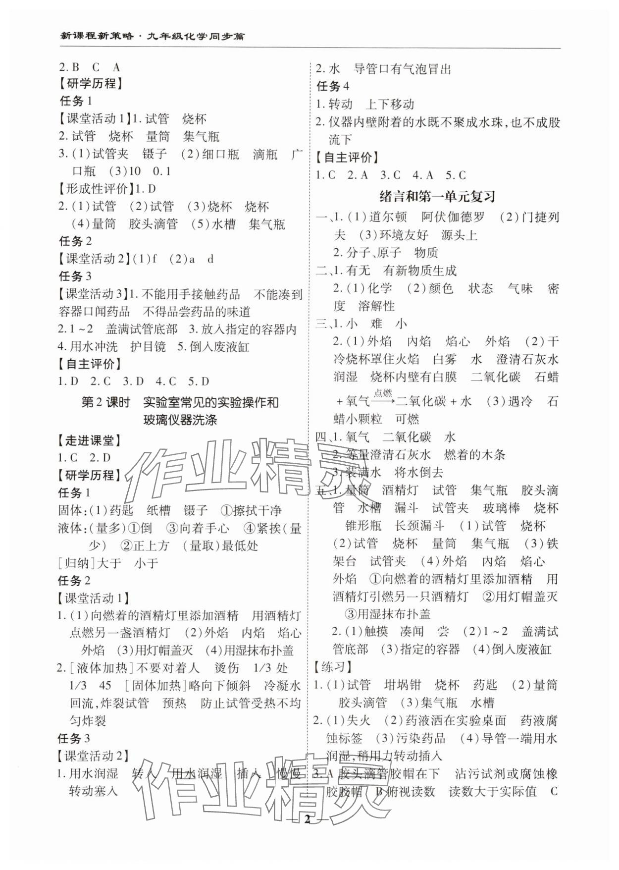 2023年新课程新策略复习篇九年级化学 第2页