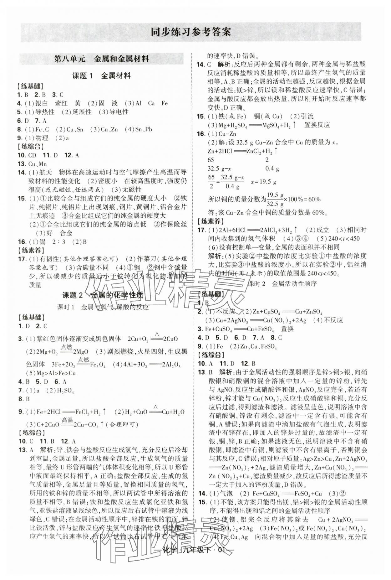 2024年經(jīng)綸學典課時作業(yè)九年級化學下冊人教版 第1頁