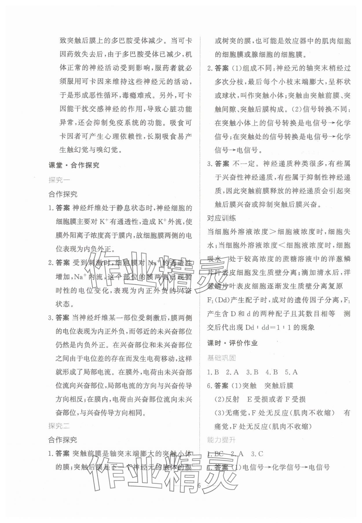 2024年同步學考練高中生物選擇性必修1人教版 第6頁