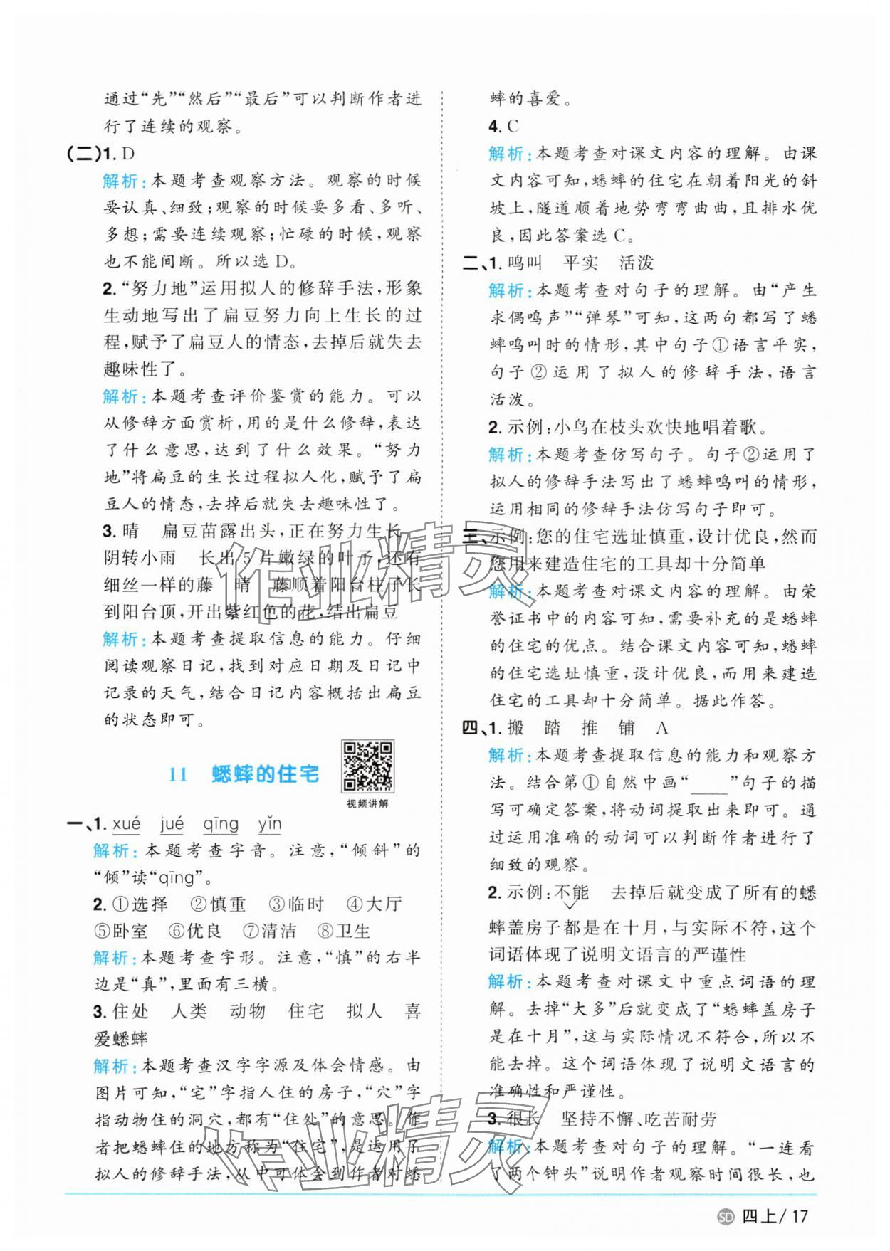 2025年陽光同學(xué)課時(shí)優(yōu)化作業(yè)四年級語文上冊人教版菏澤專版 第17頁