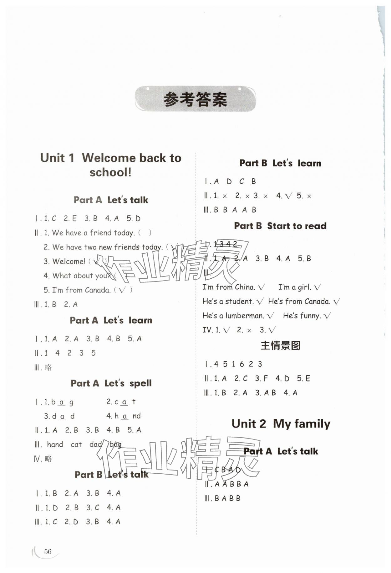 2024年小學同步練習冊三年級英語下冊人教版山東科學技術出版社 參考答案第1頁